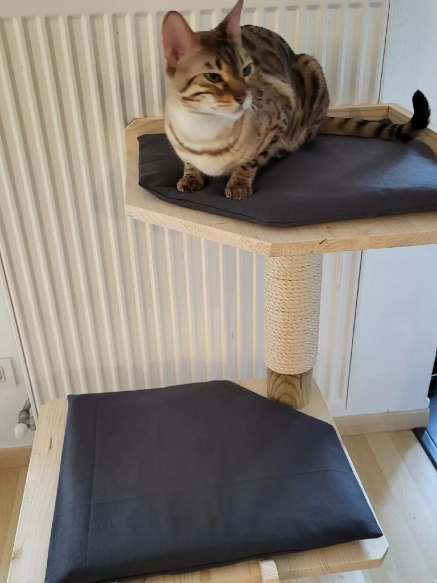 Arbre à chat Jinnkiss