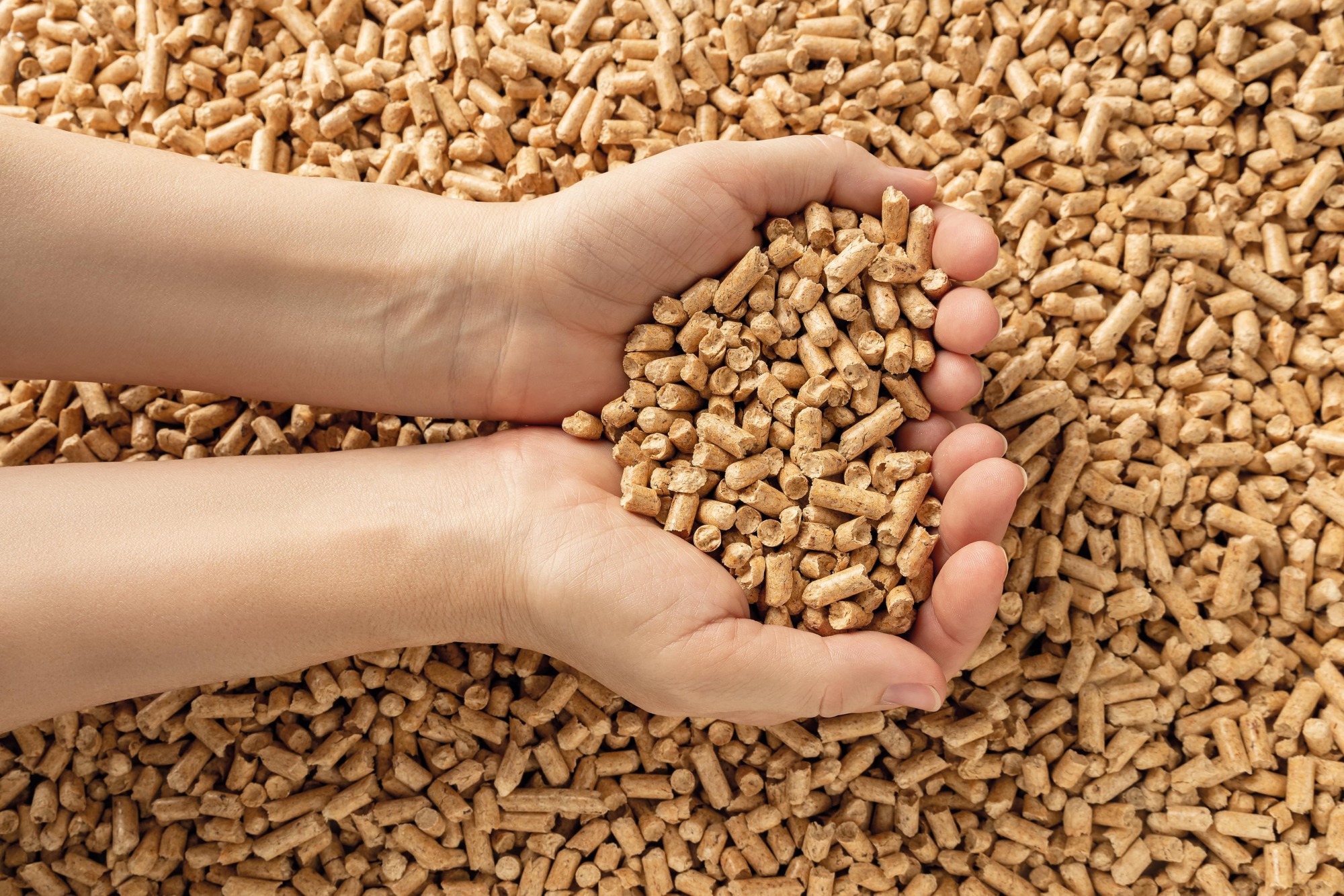 Pellets et granulés de bois