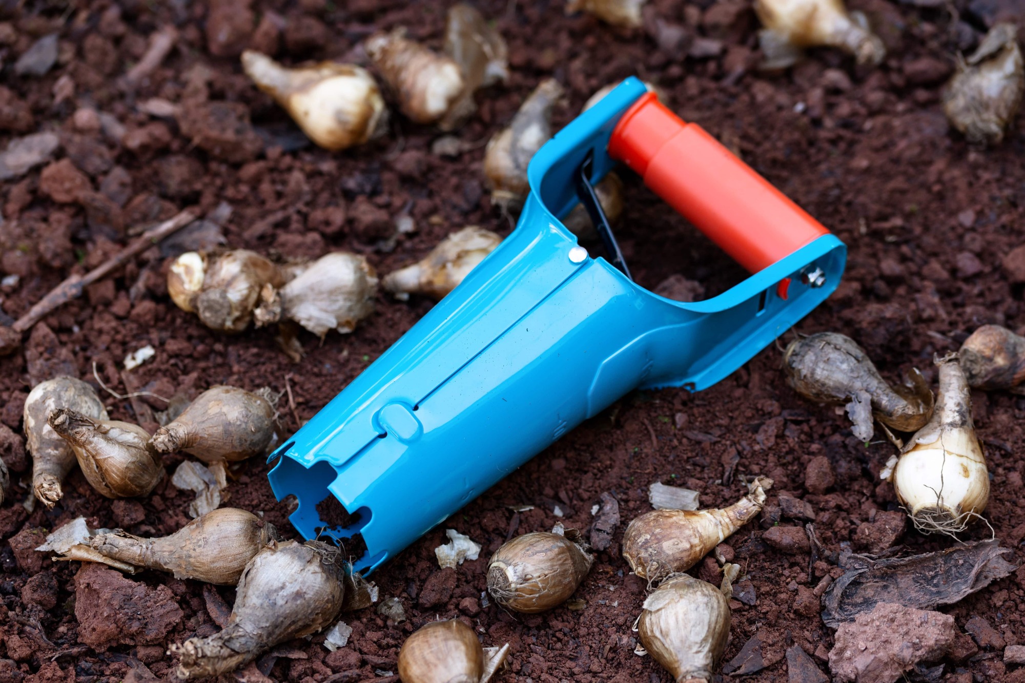 Plantoir à bulbe
