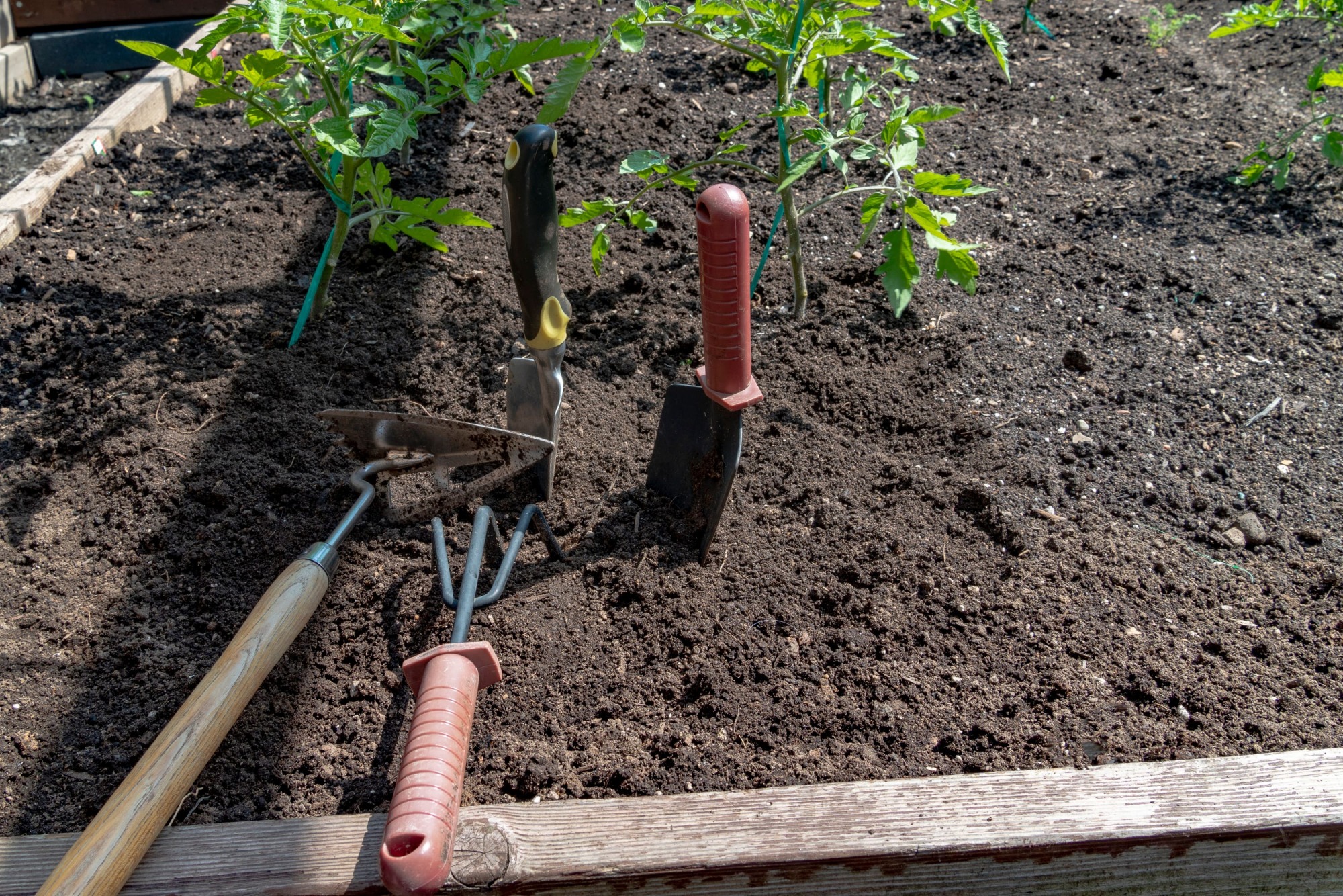 Réparation de griffes de jardinage