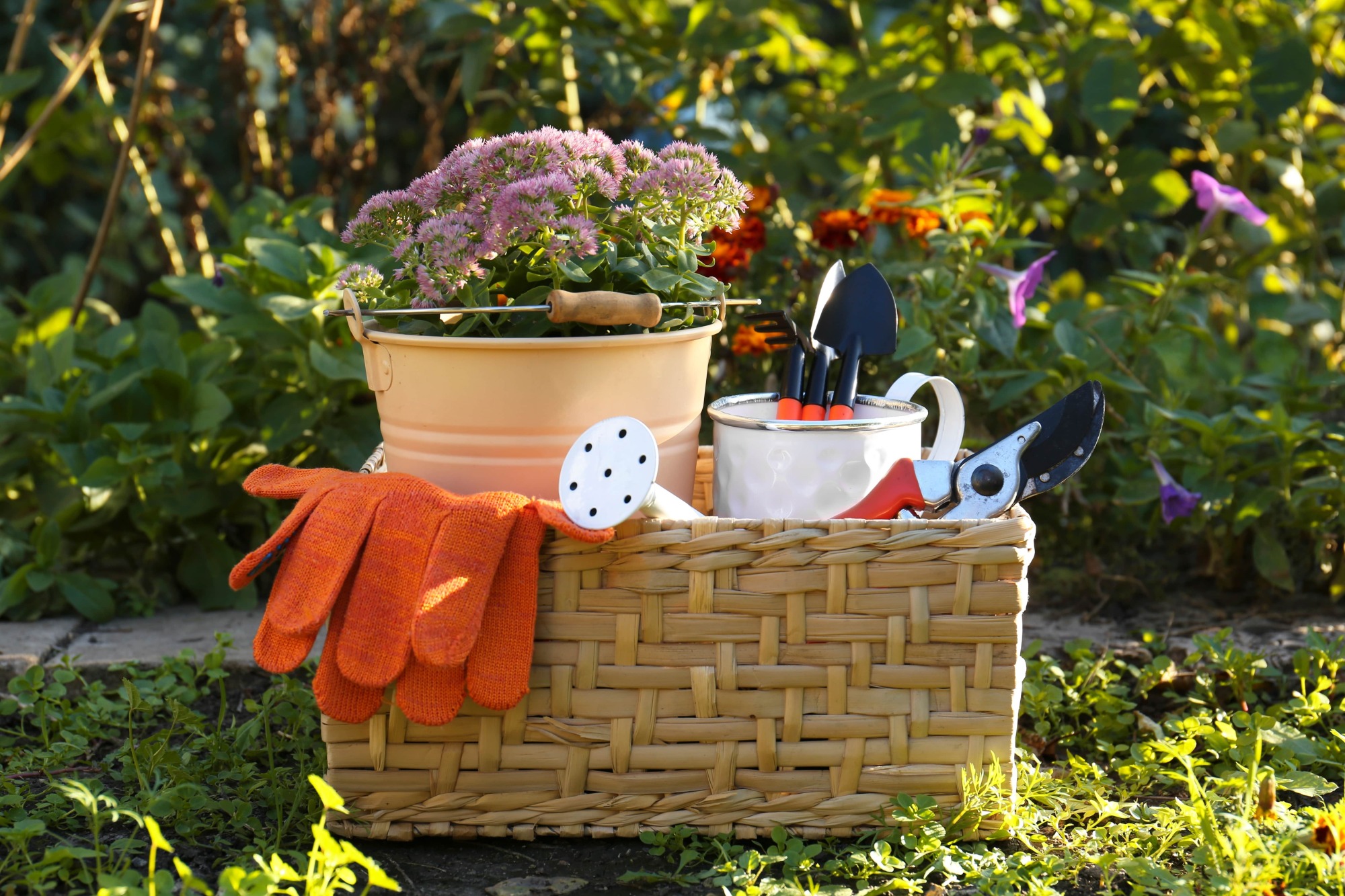 Vente d'outillage manuel de jardinage outils Wolf