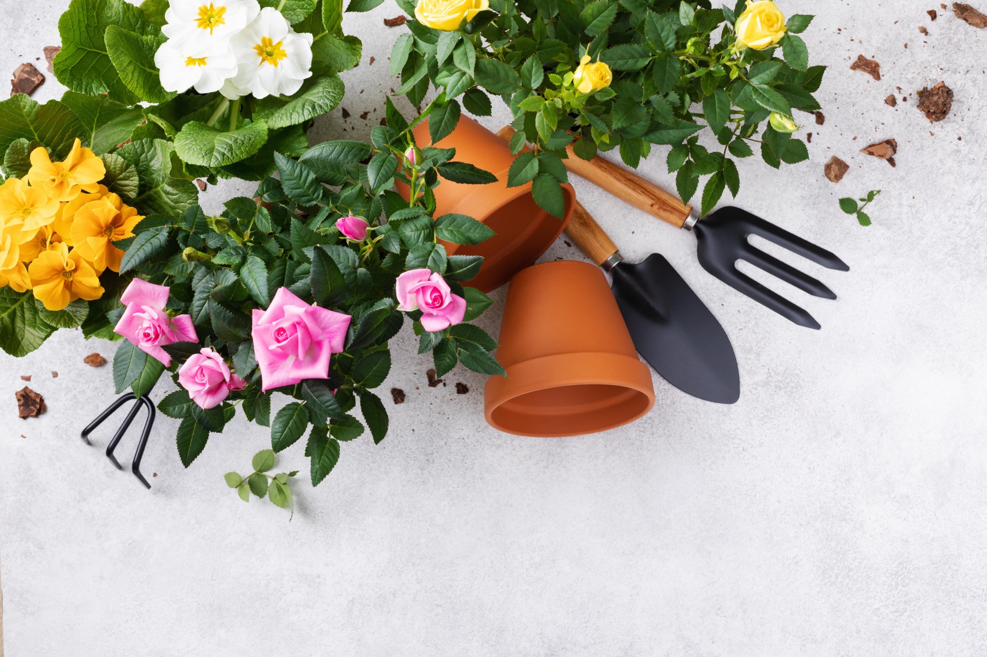 Vente d'outillage manuel de jardinage Stihl