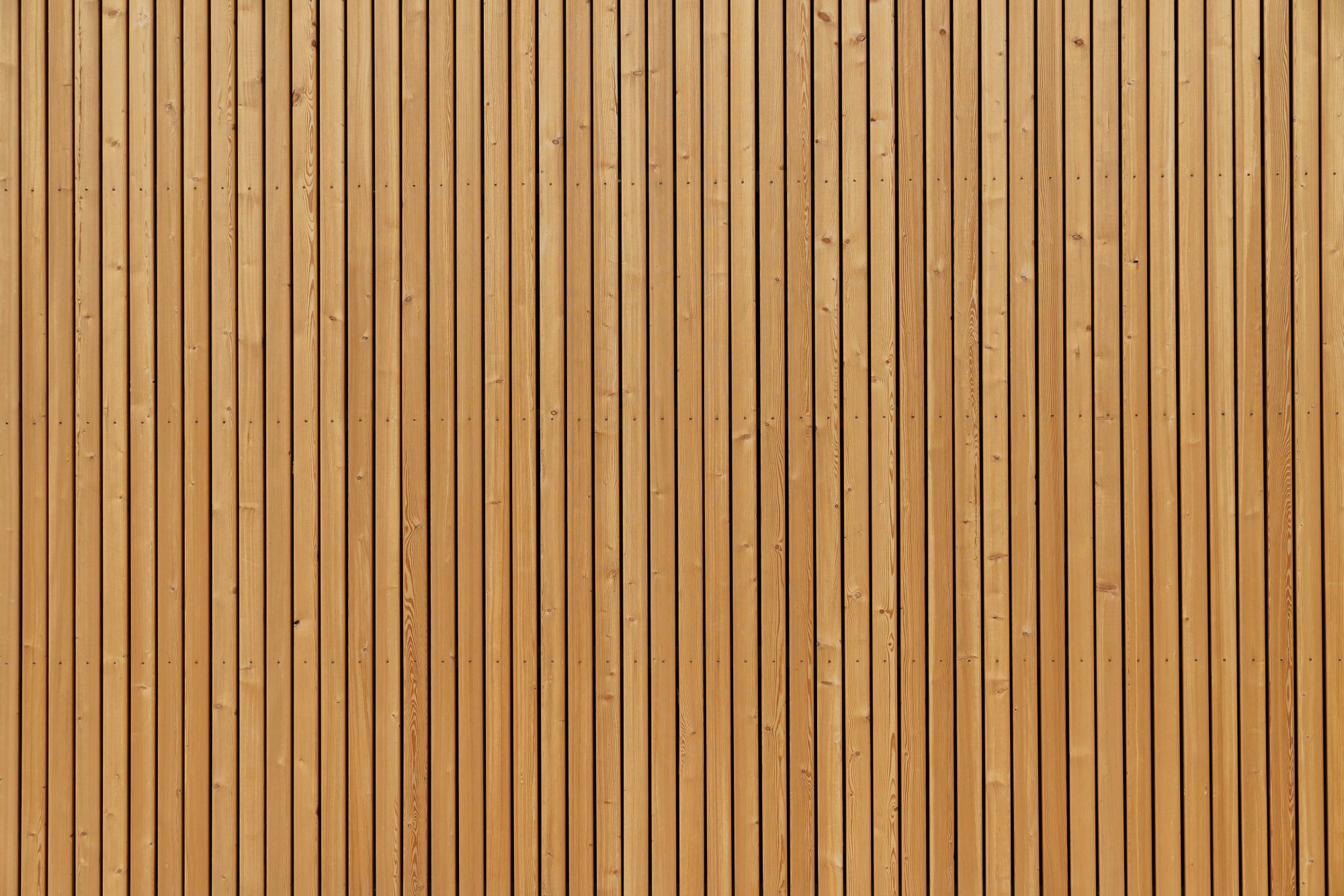 Création d'une parement intérieur en bois