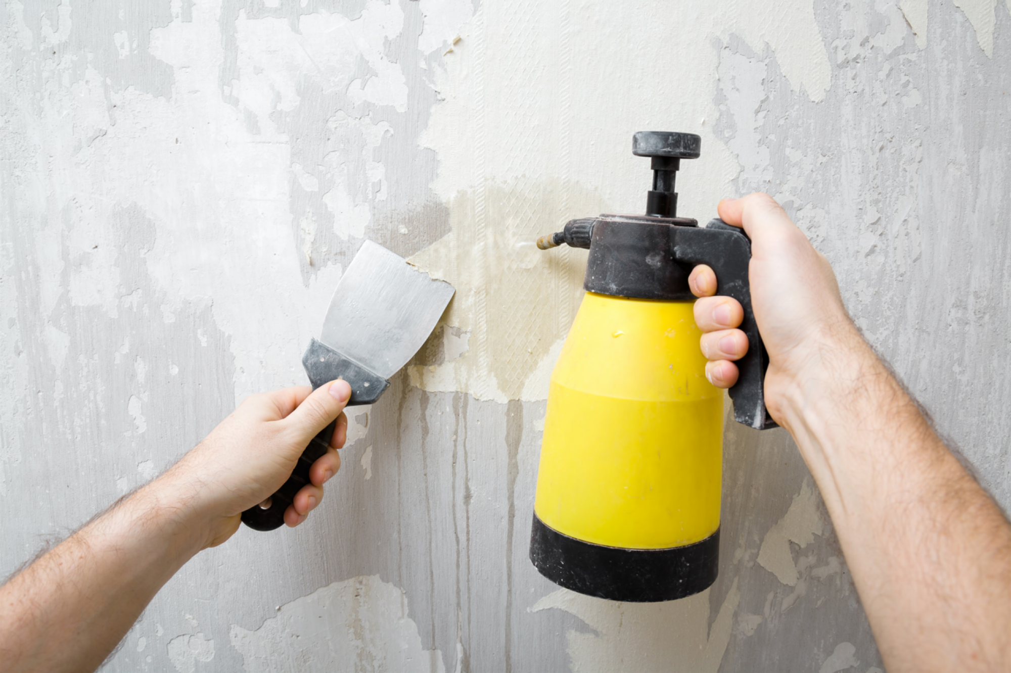 Décolleuse papier peint