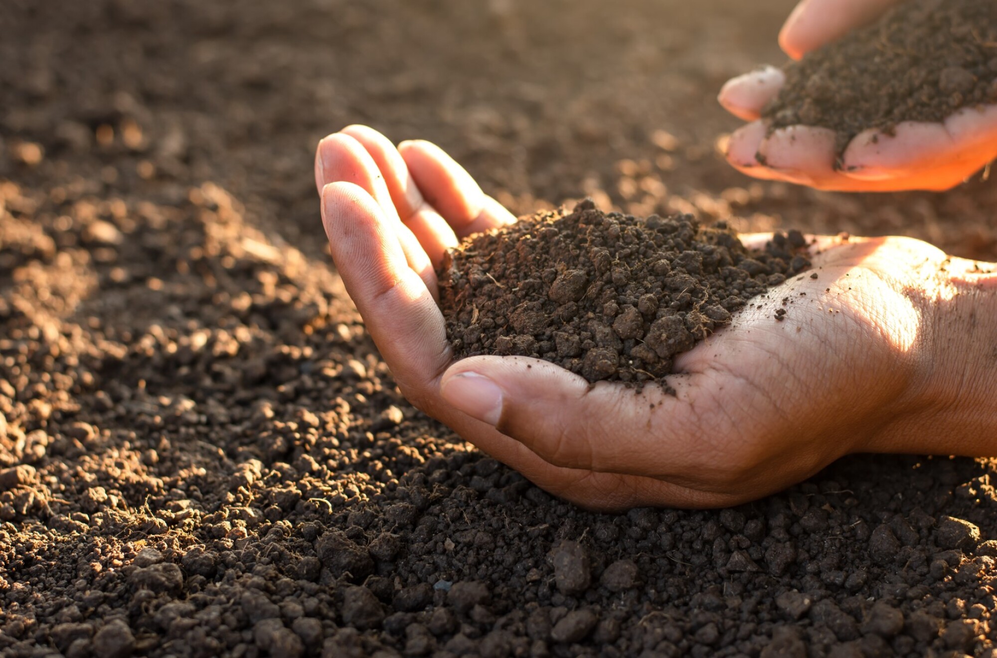 Livraison de terreau