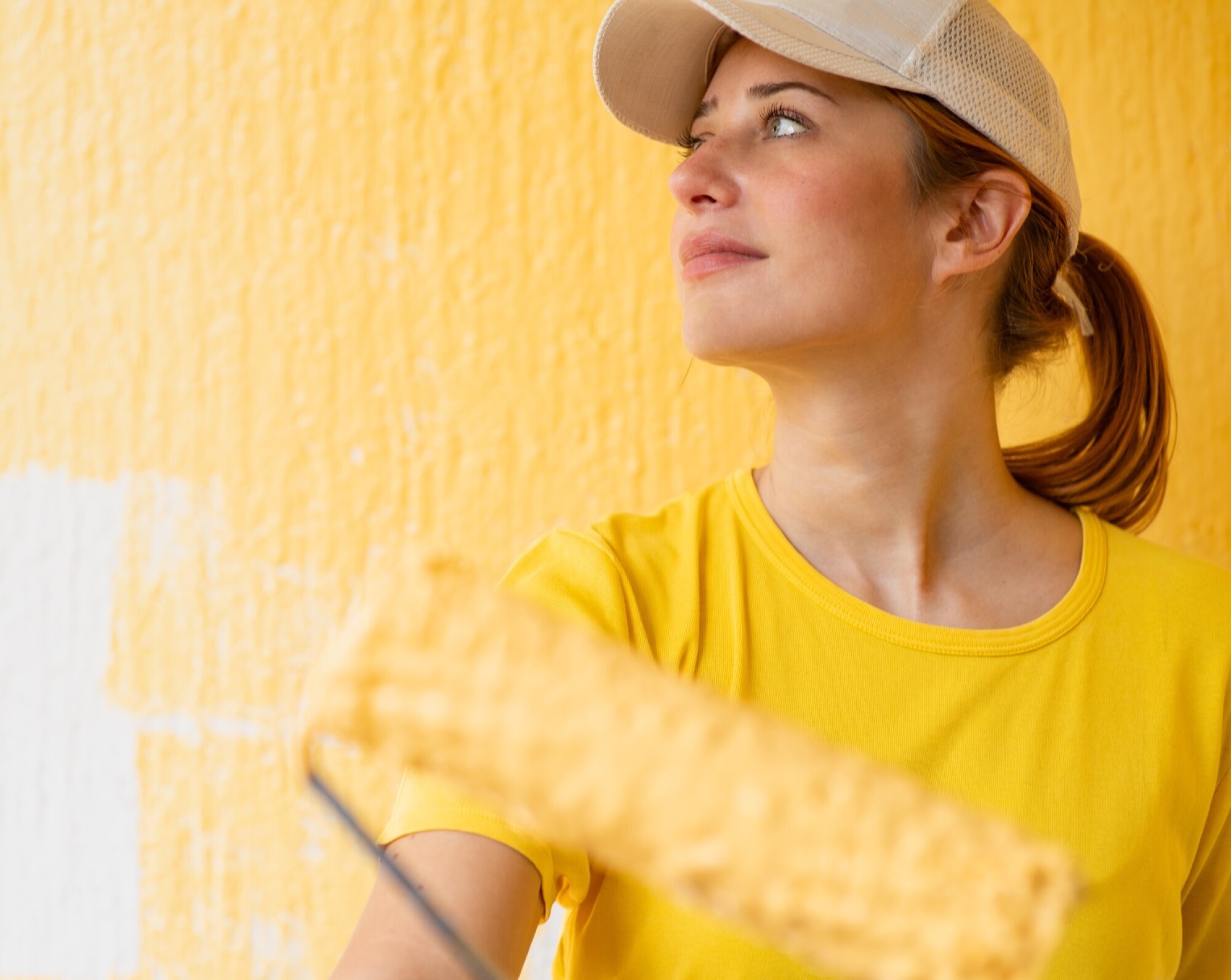 Peinture lavable