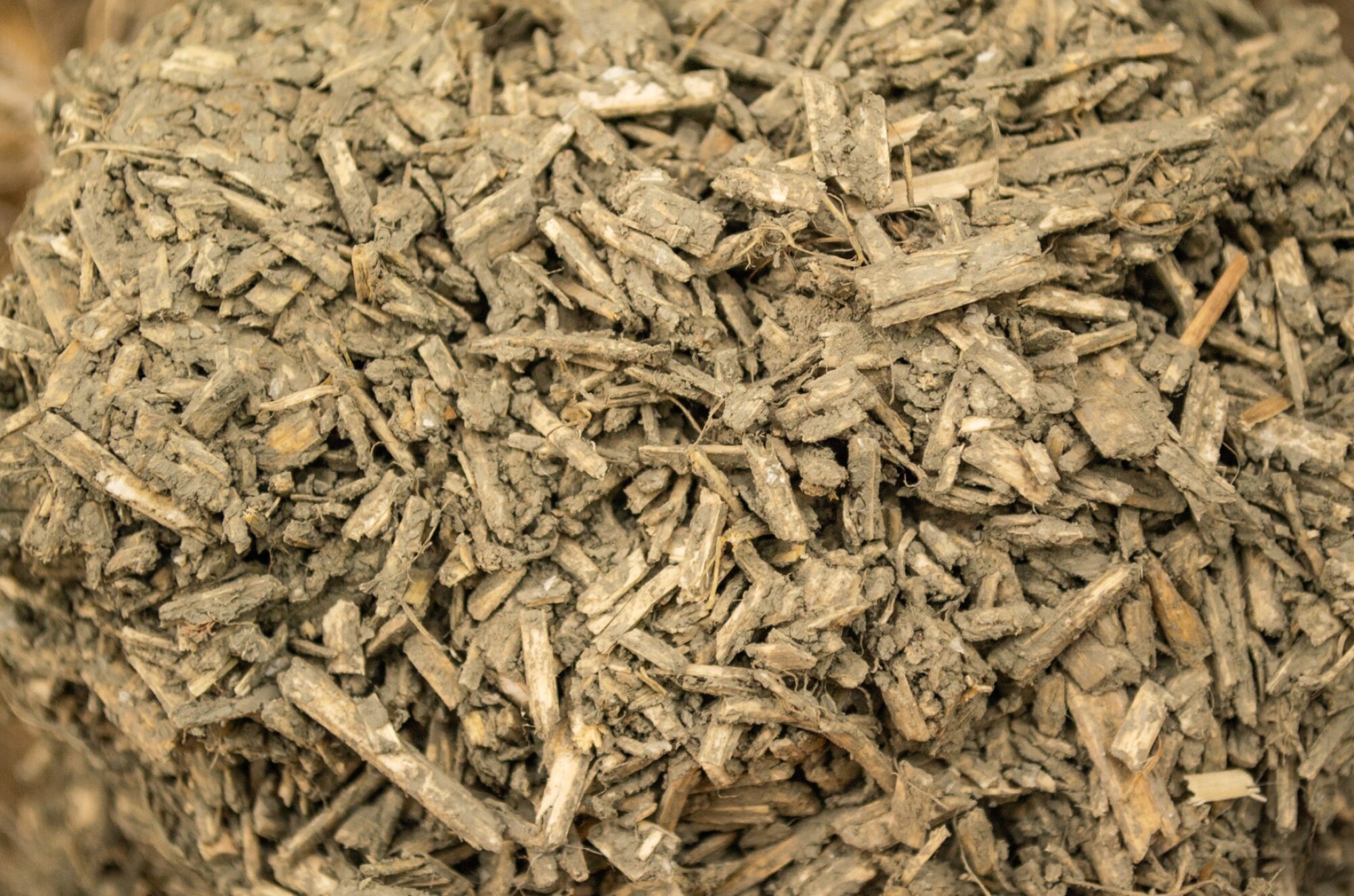 Pose de paillage de chanvre