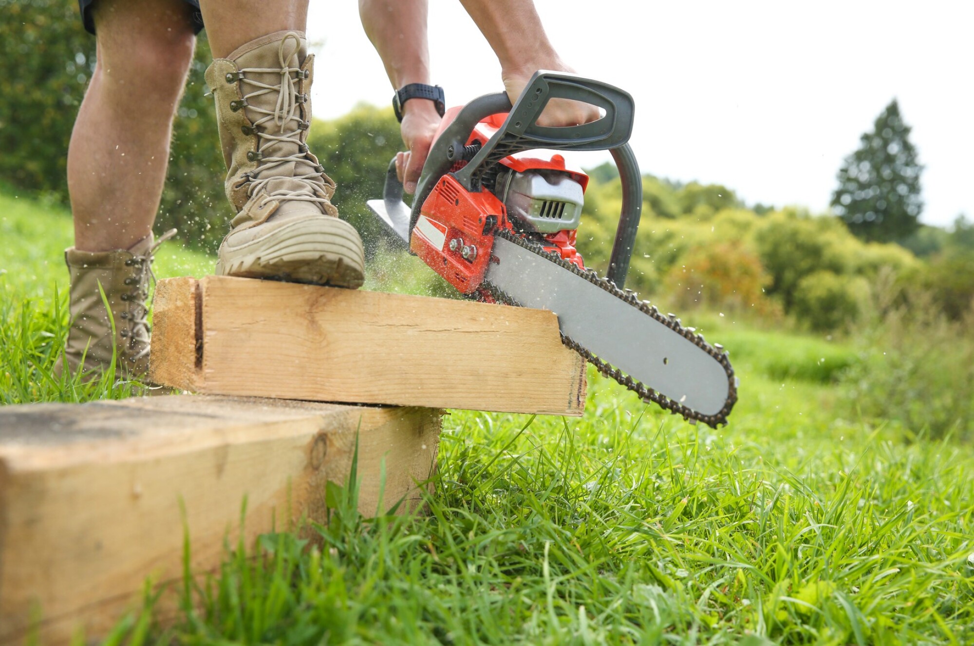 Affûtage tronçonneuse