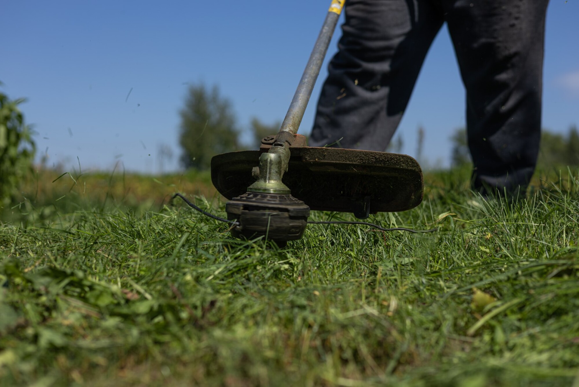 Coupe-bordures Stihl