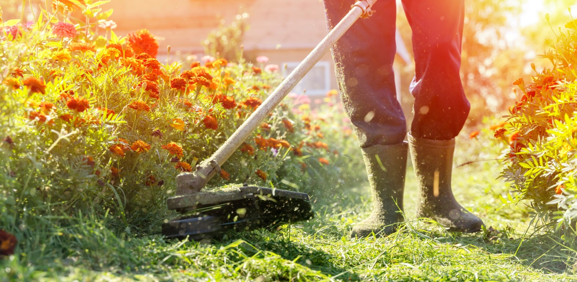 Coupe-bordures thermique