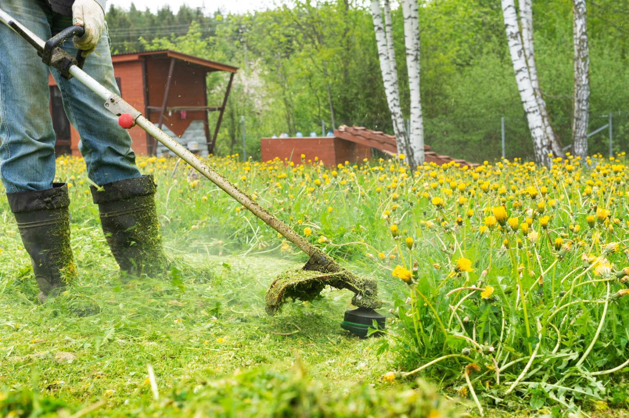 Débroussailleuse  à batterie