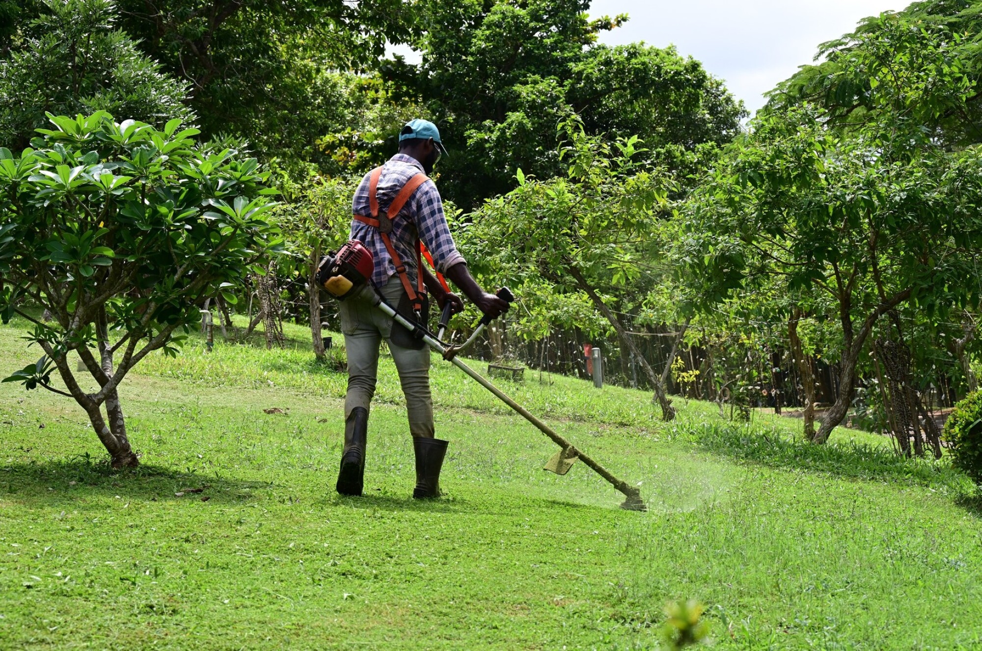 Débroussailleuse électrique