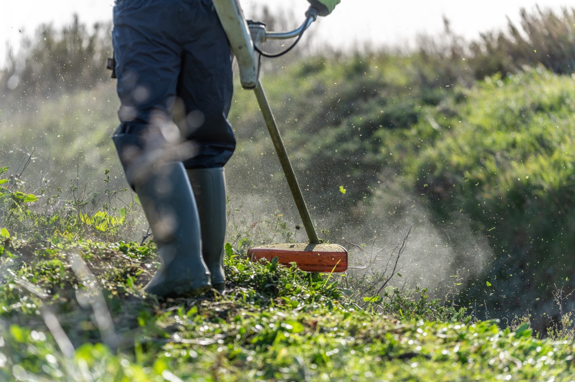 Débroussailleuse thermique