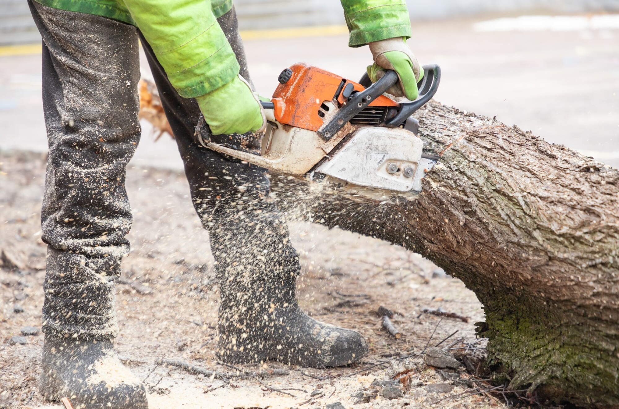 Réparation tronçonneuse