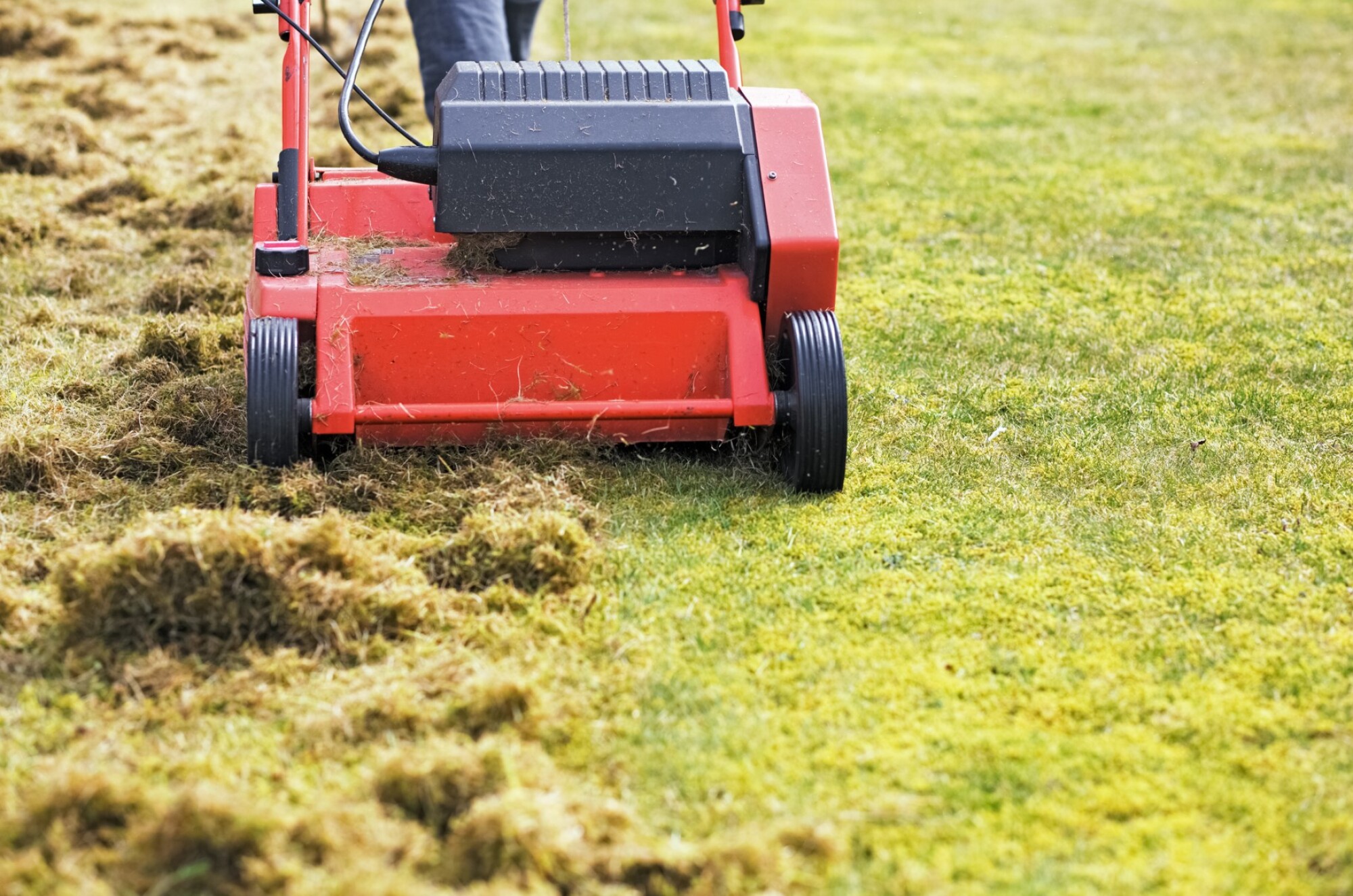 Scarificateur thermique