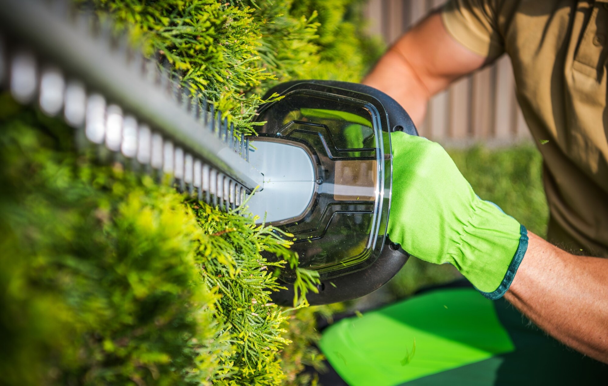 Taille-haies batterie