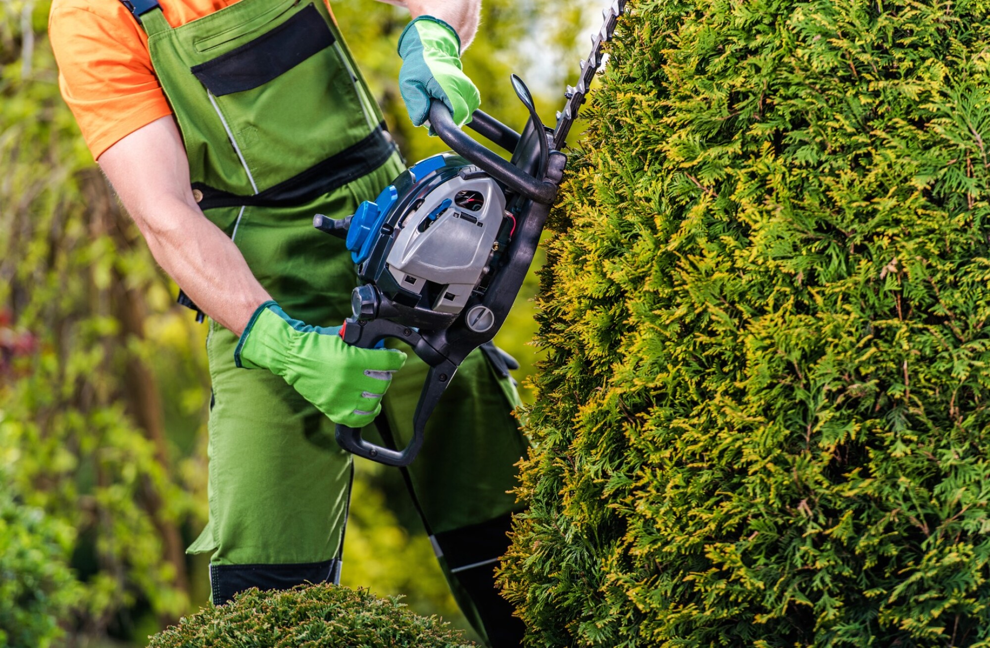 Taille-haies sur perche