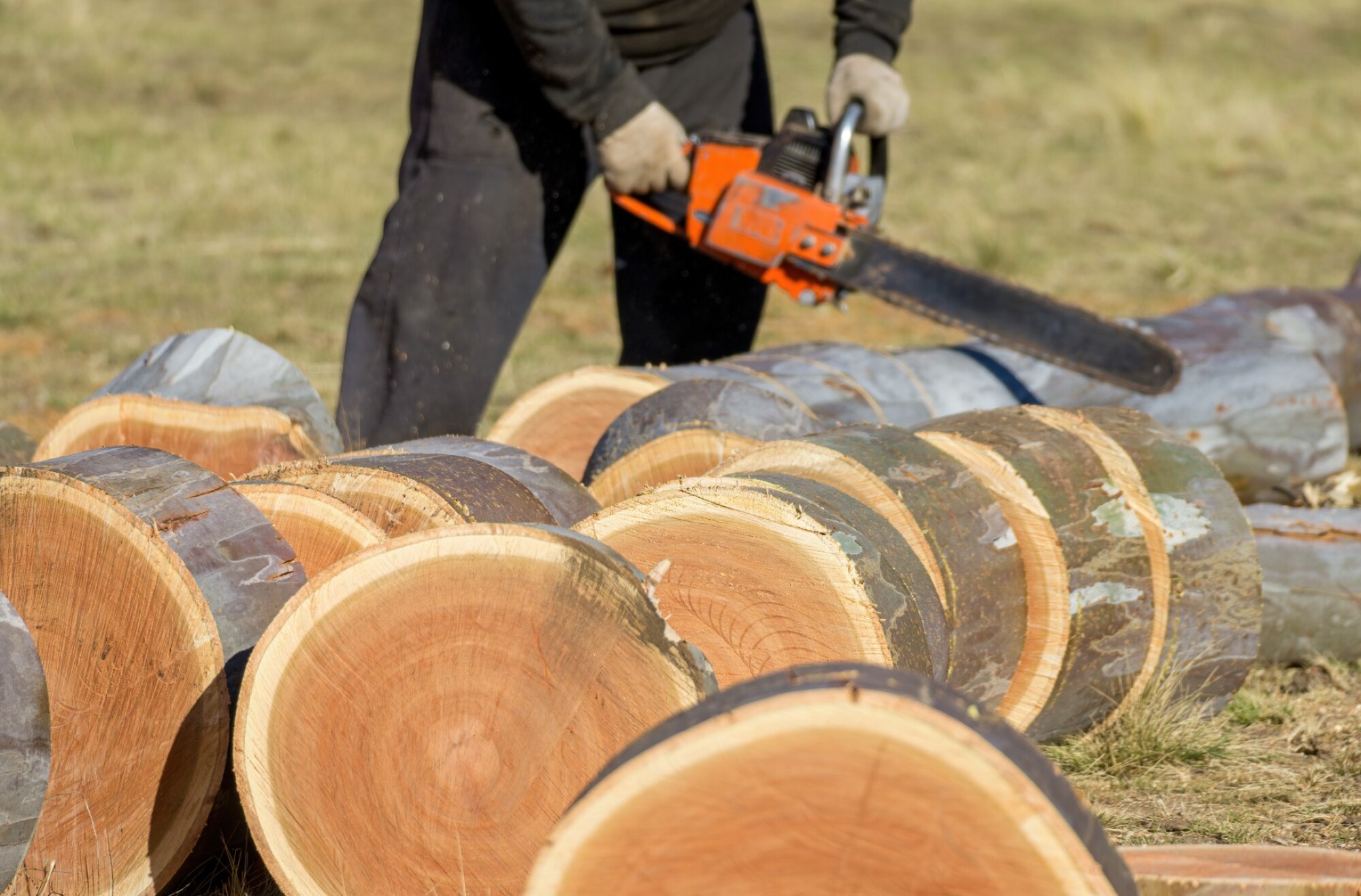 Tronçonneuse Stihl