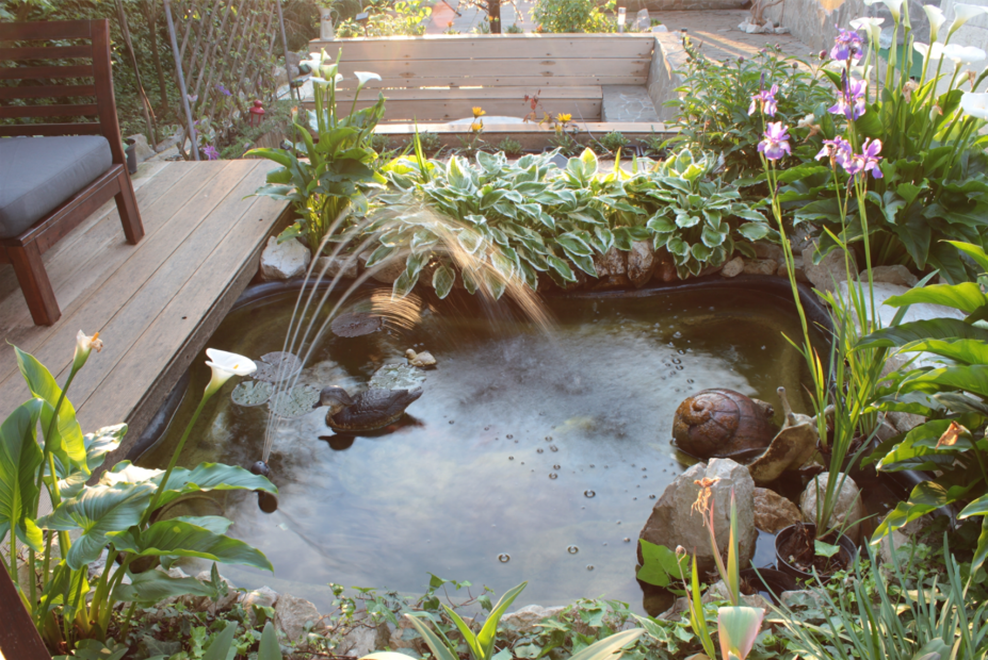 Création de jardins avec bassins