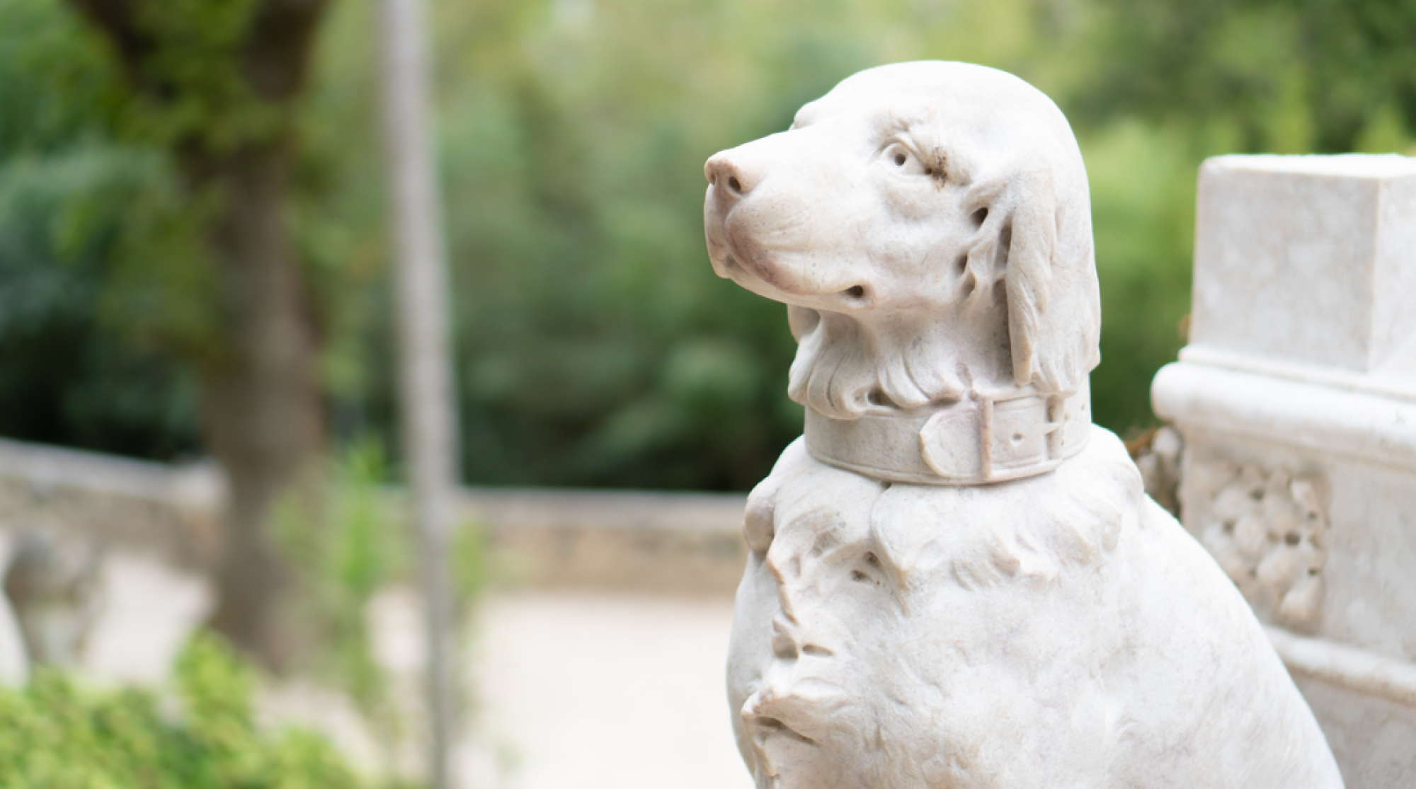 Installation de sculptures d'animaux pour jardin