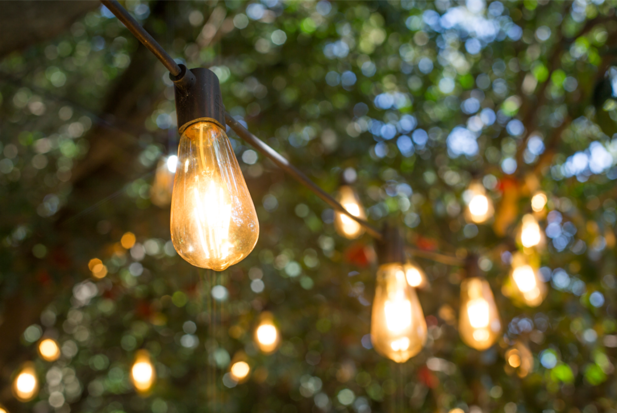 Pose de ampoules de décoration pour jardin