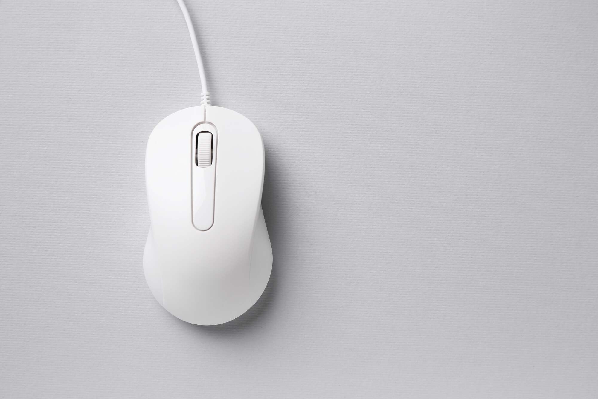 Souris