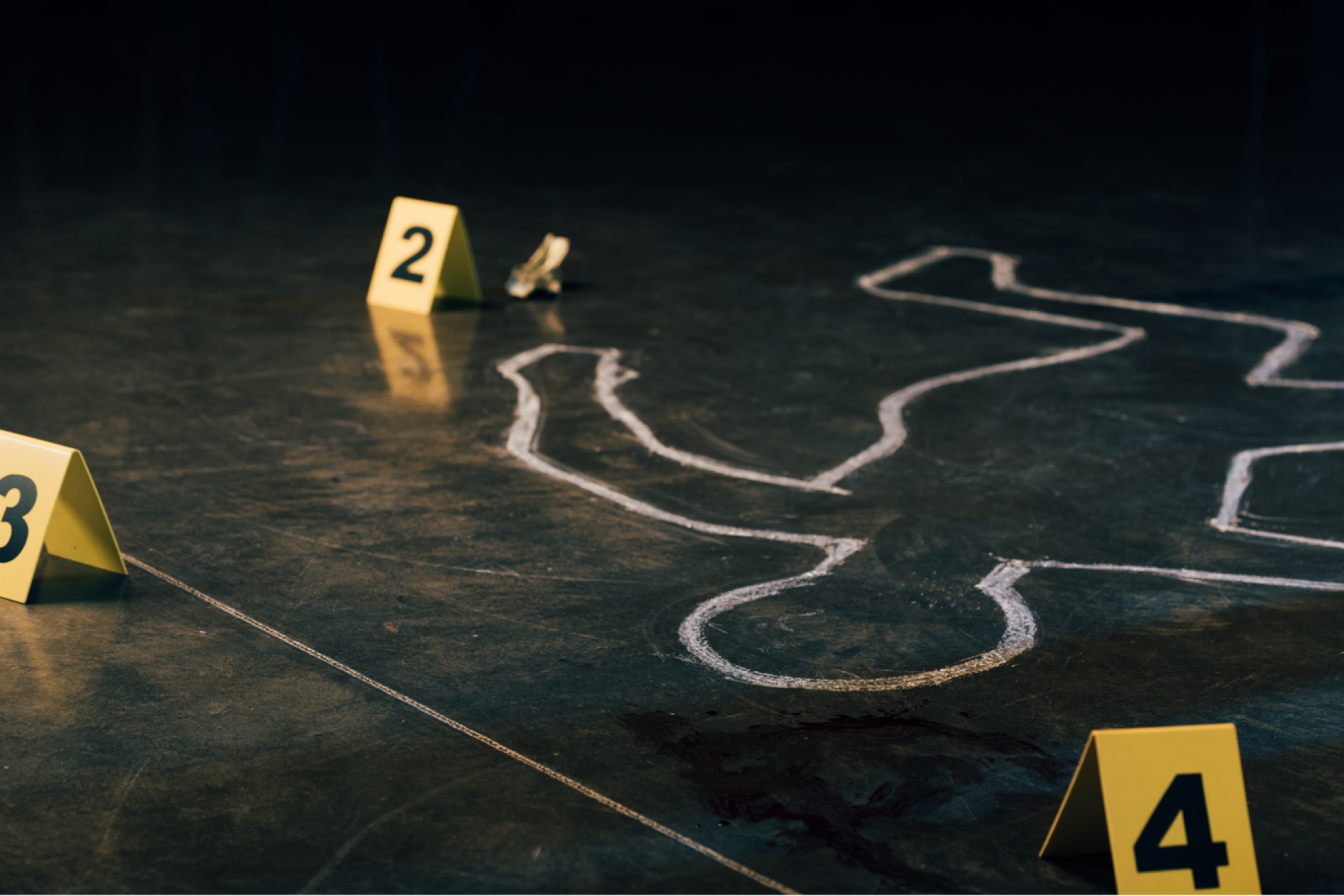 Murder party