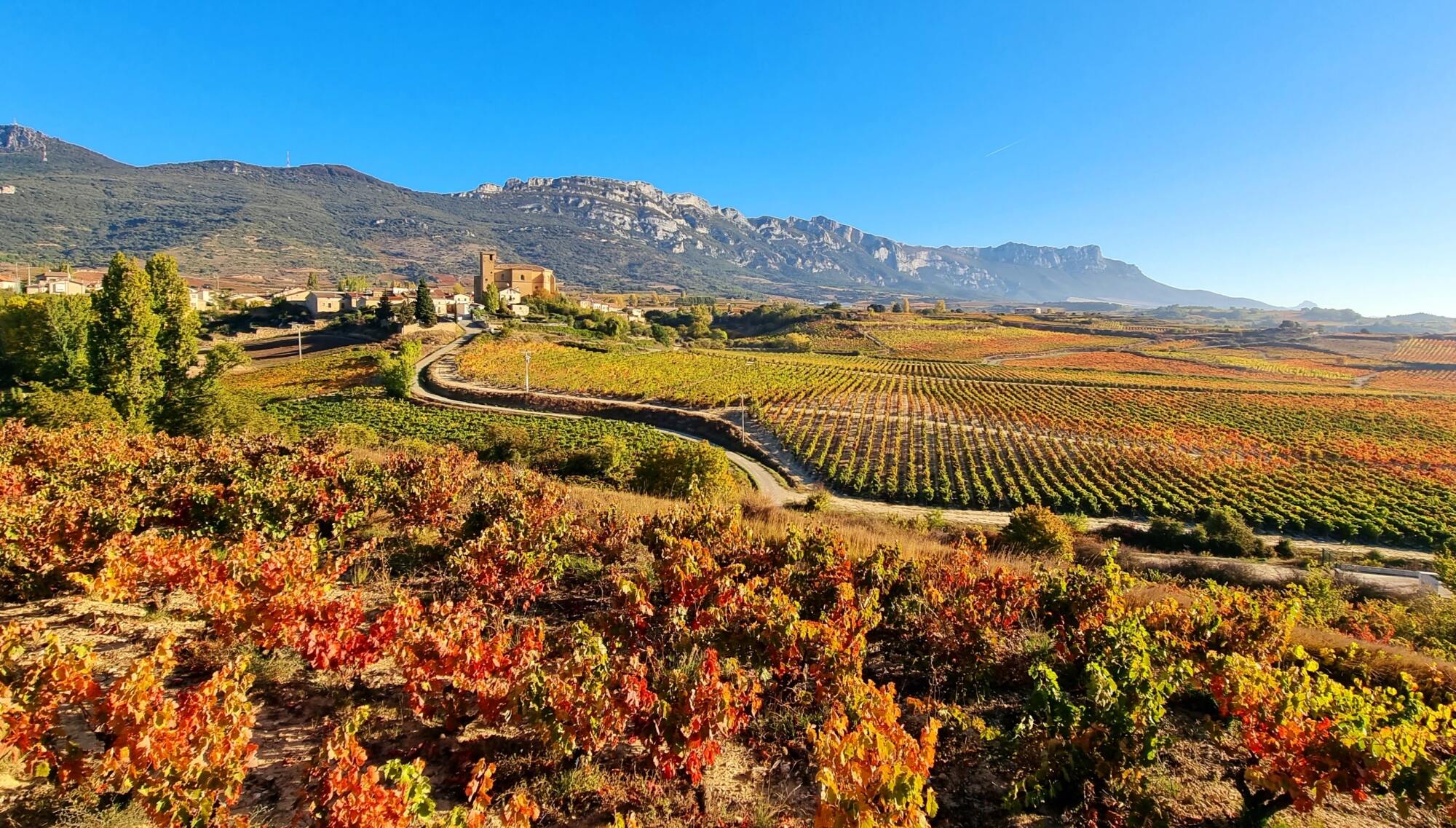 Découverte de la route des vins