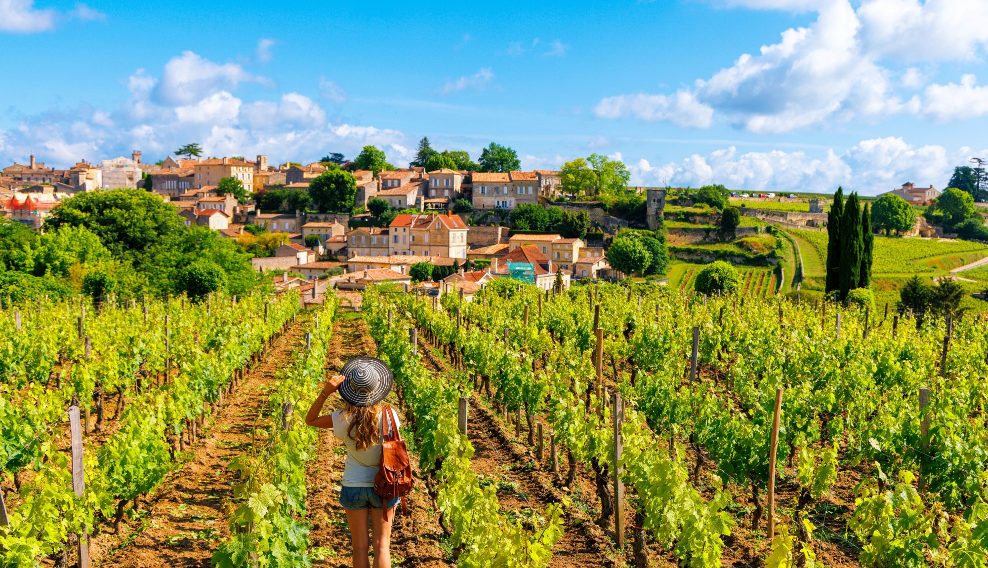 Visite de vignobles
