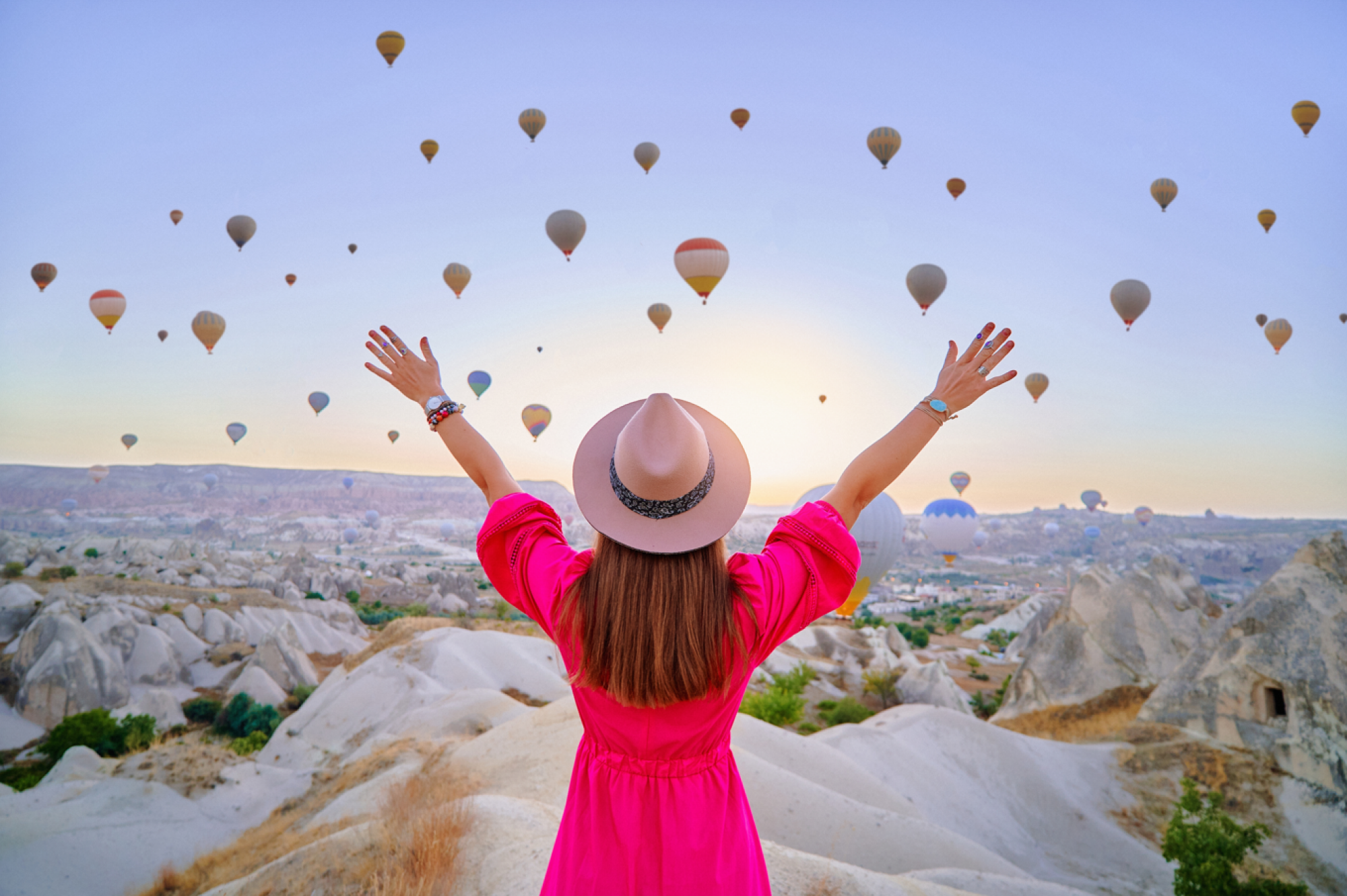 Organisation d'excursions touristiques