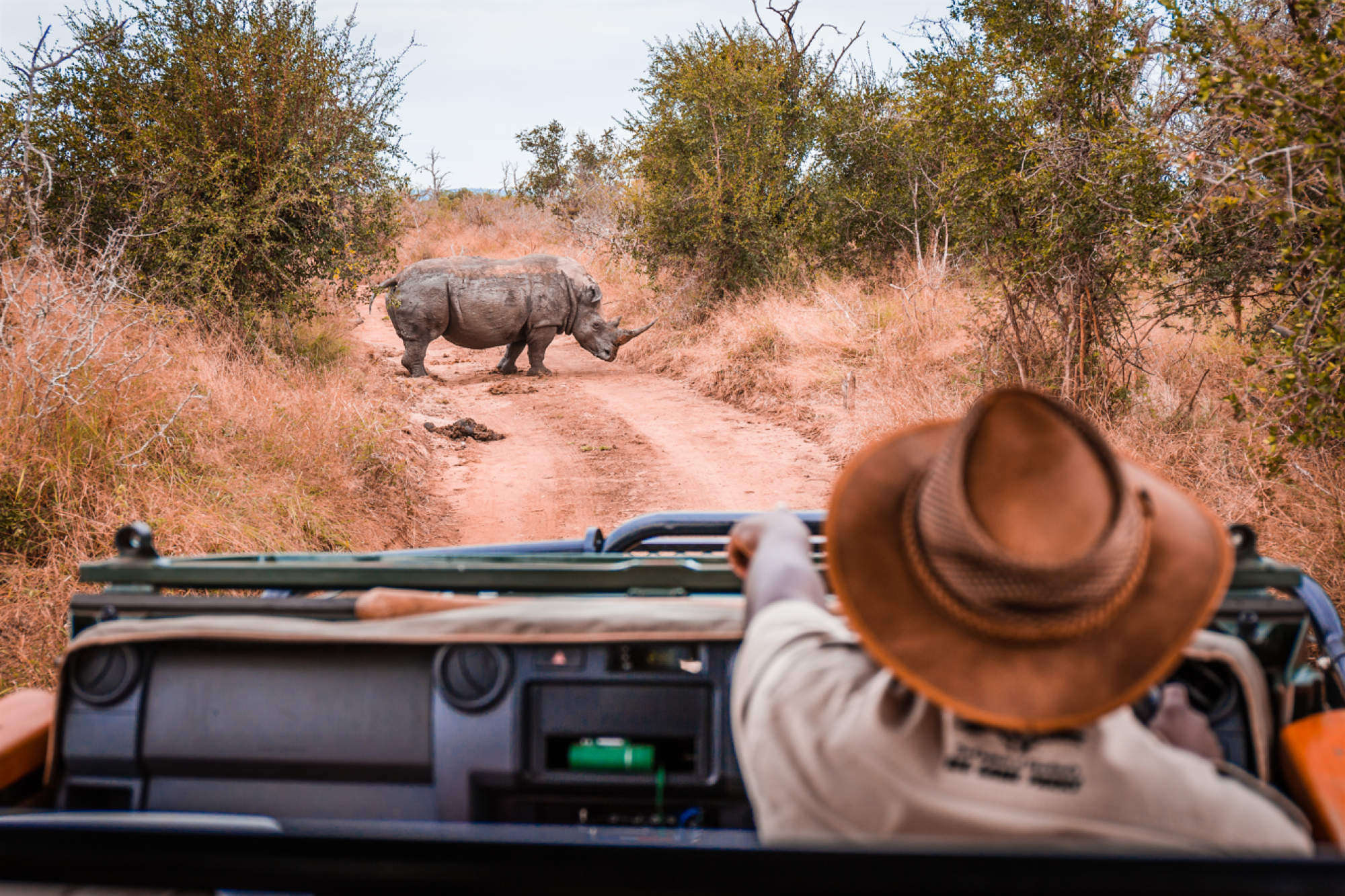 Safari guidé
