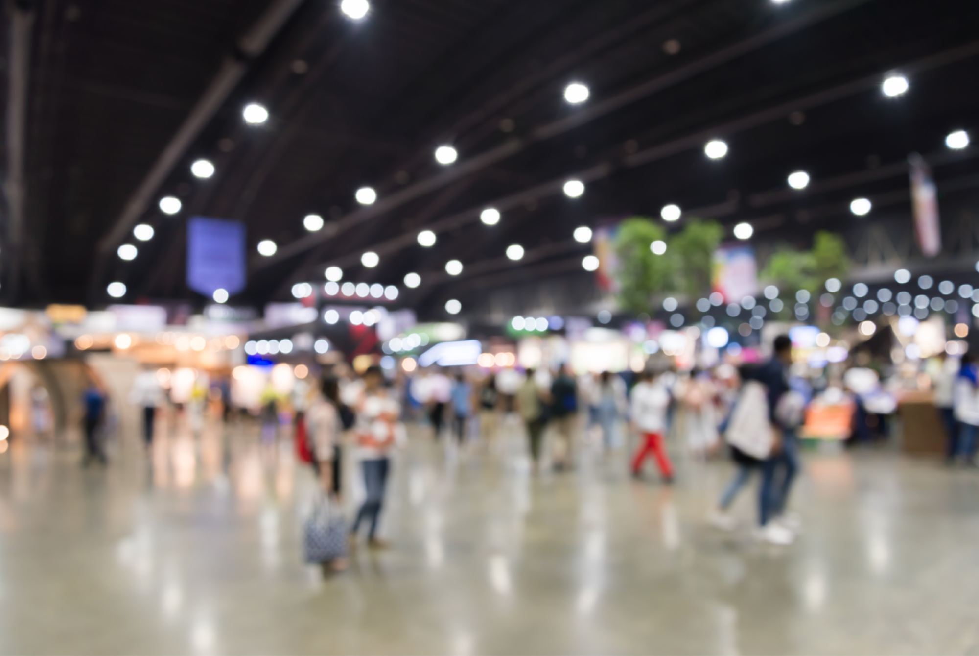 Salon du tourisme