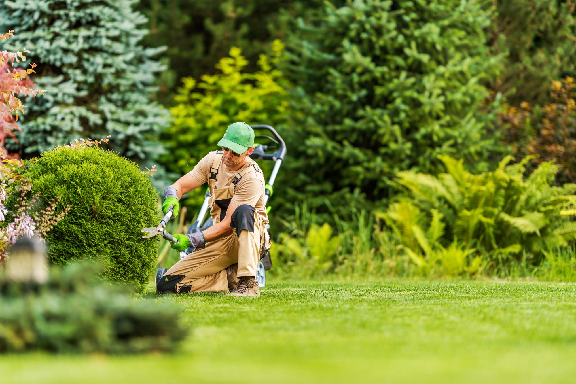 Entretien de parcs et espaces verts