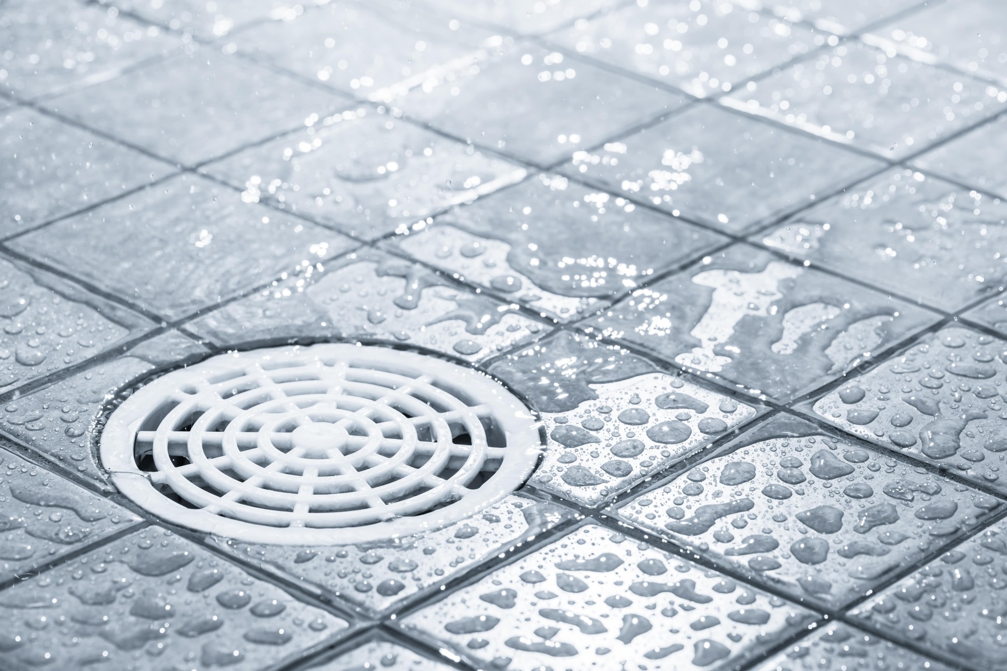 Épuration des eaux usées domestiques
