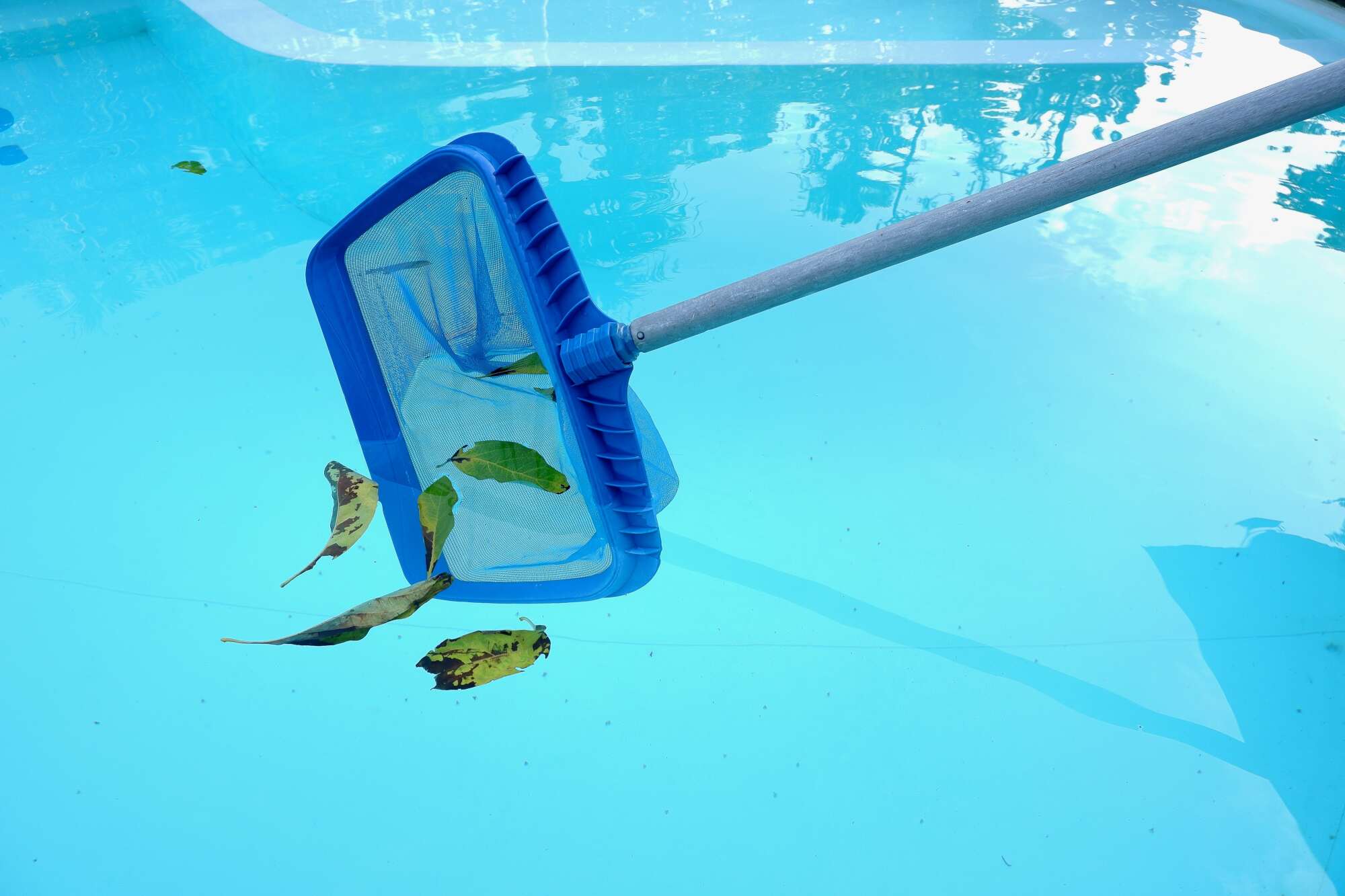 Nettoyage piscine