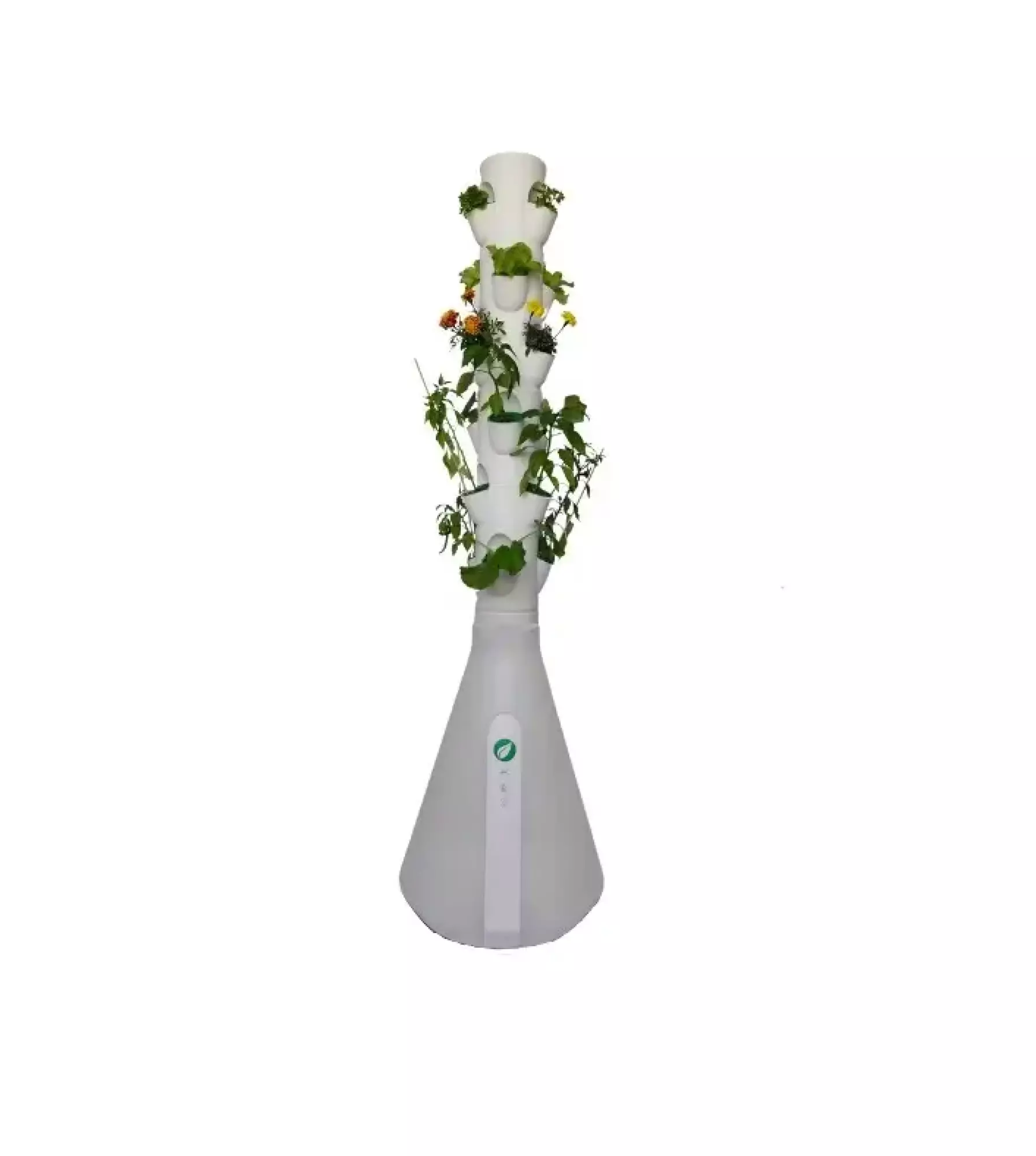 HomePotager Tradi – Culture Hydroponique, 12 Plants,  Extérieur