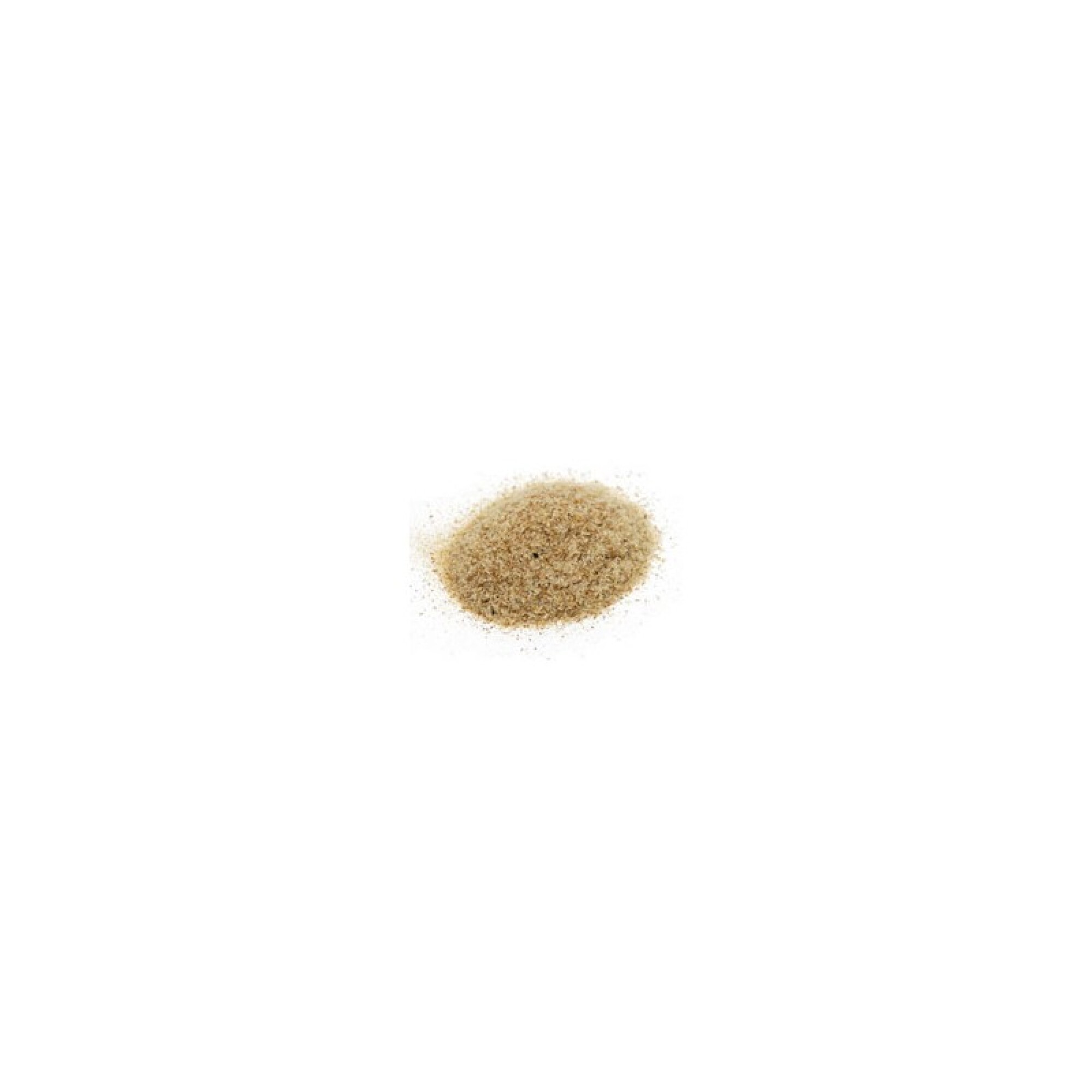 Psyllium blond biologique