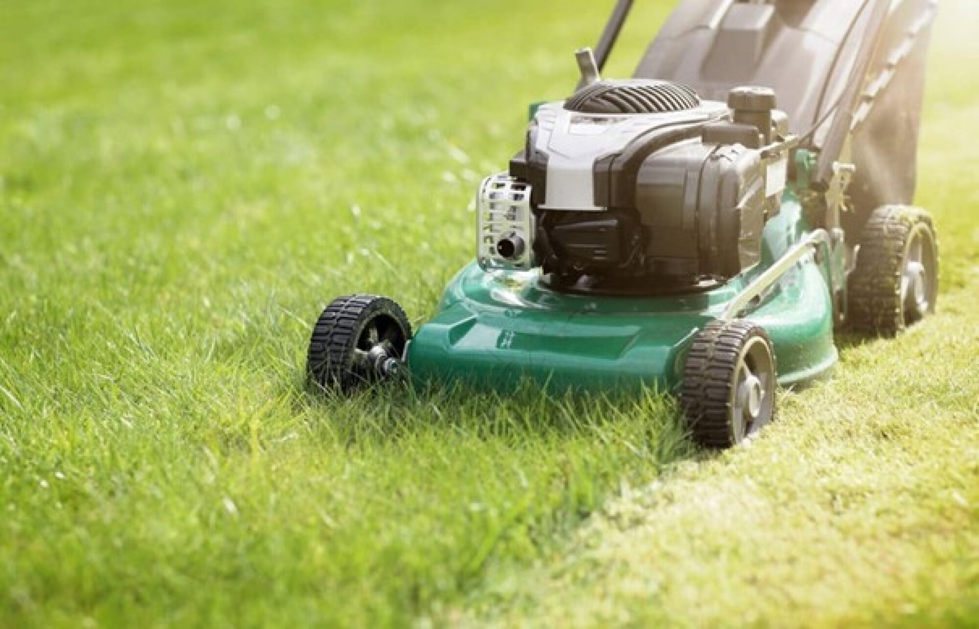 Entretien des espaces verts - Particulier