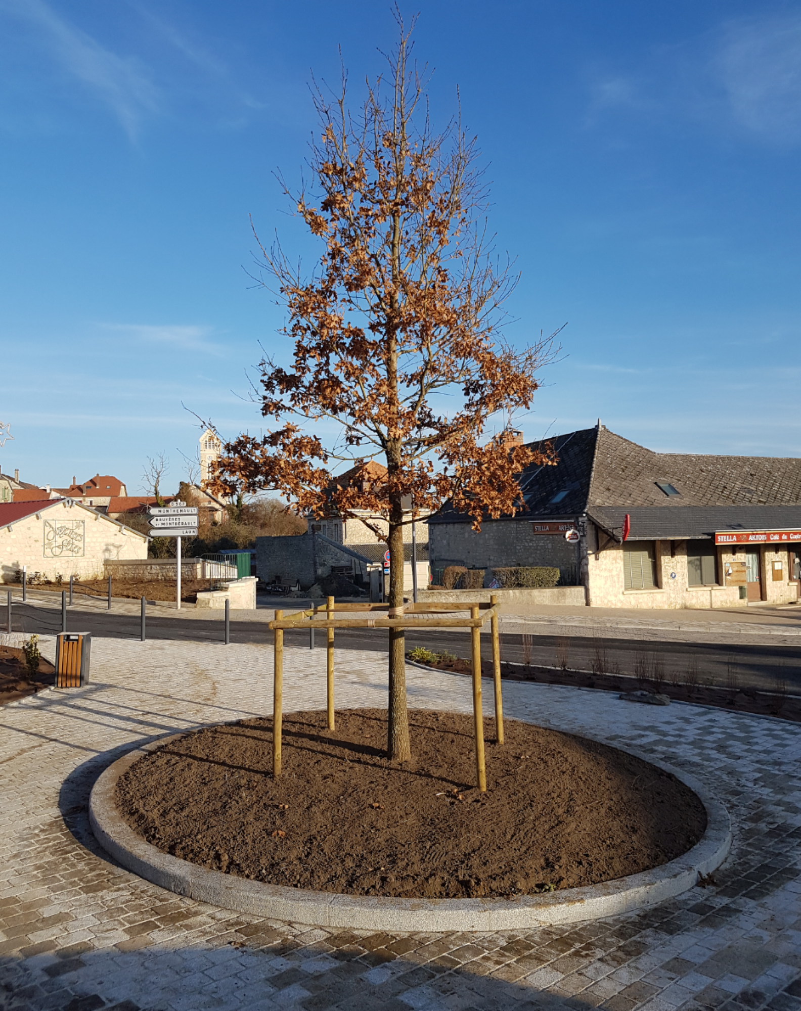 Plantation : Particuliers - Professionnels - Collectivités