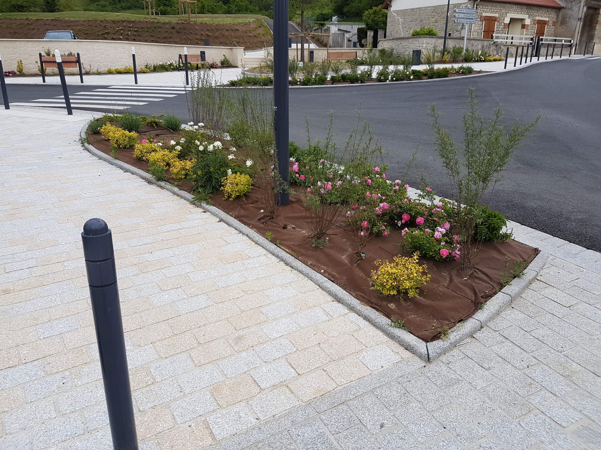 Plantation : Particuliers - Professionnels - Collectivités