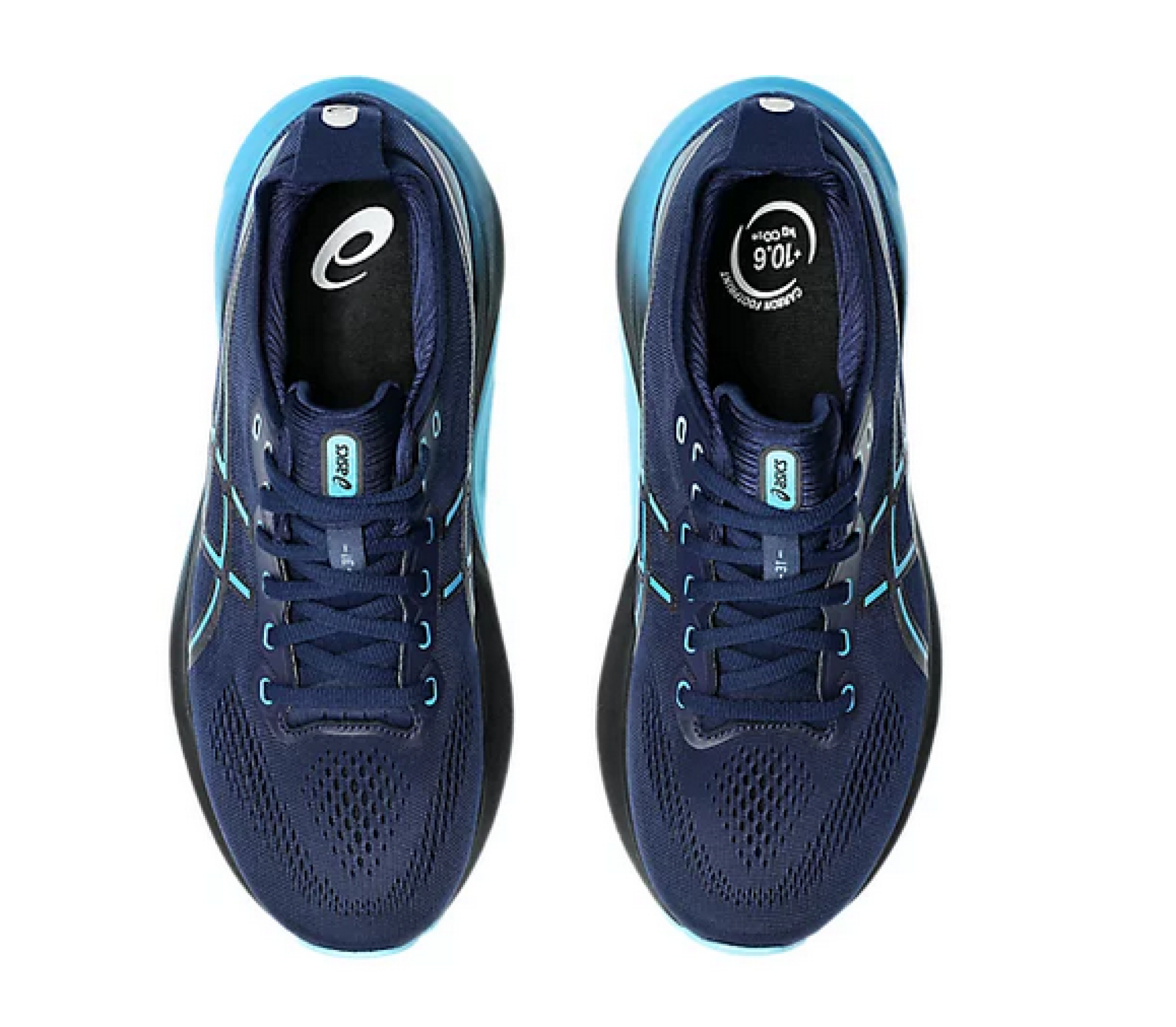 Asics Kayano 31