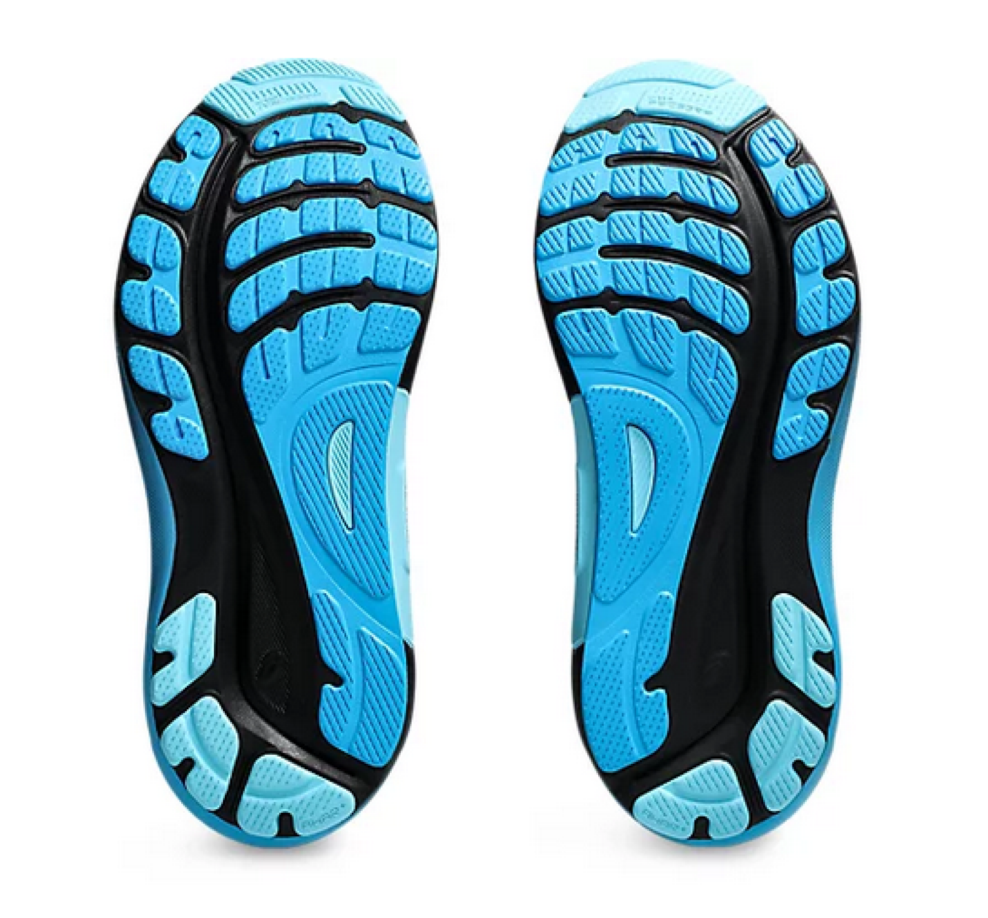 Asics Kayano 31