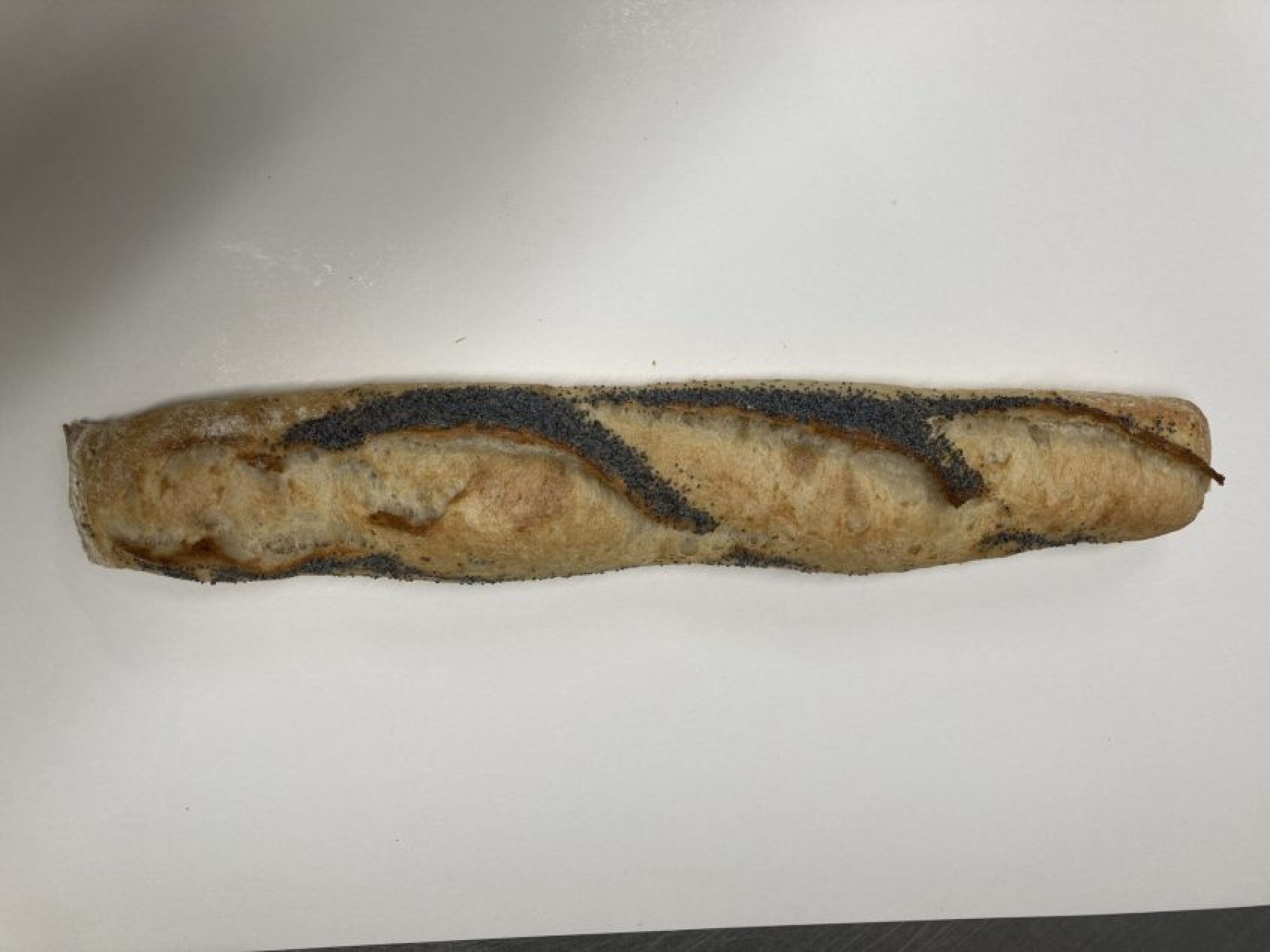 Baguette tradition pavot