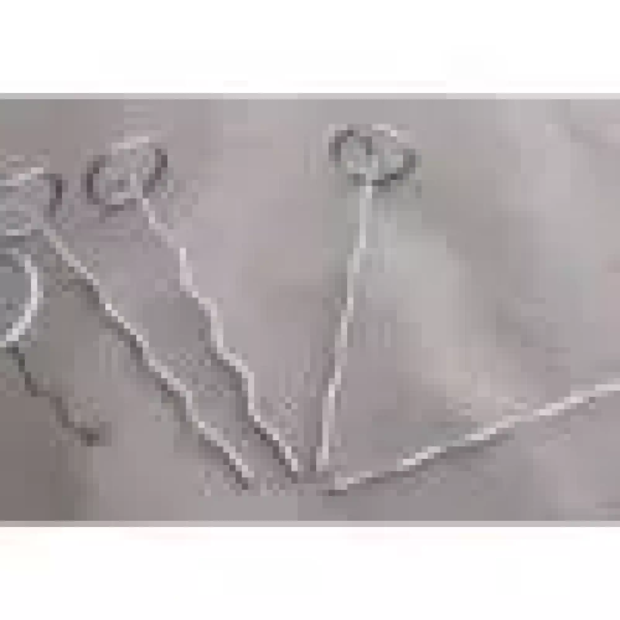 Agrafe Picanter 3D