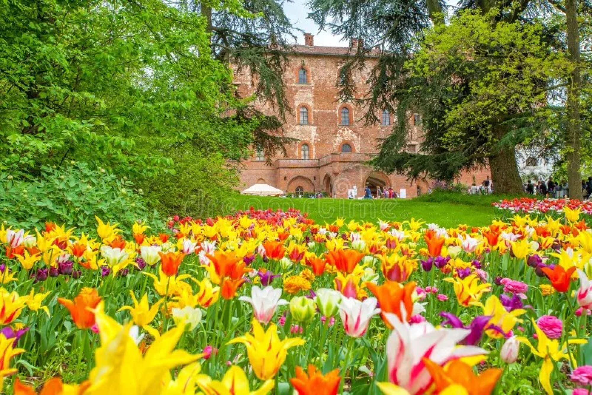 TURIN ET LA FETE DES TULIPES