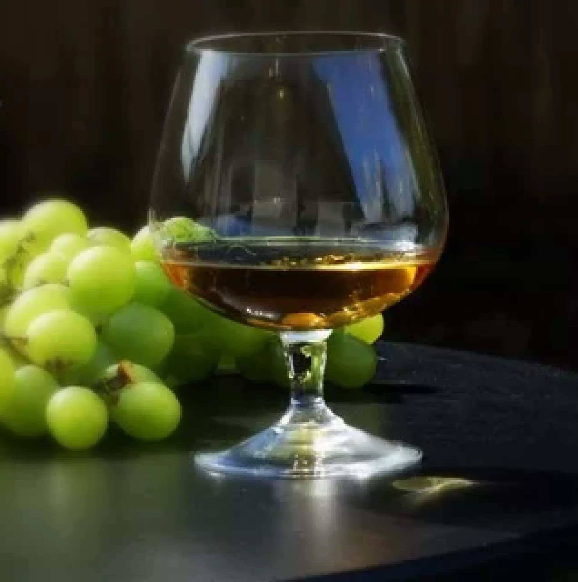 Animation vendanges