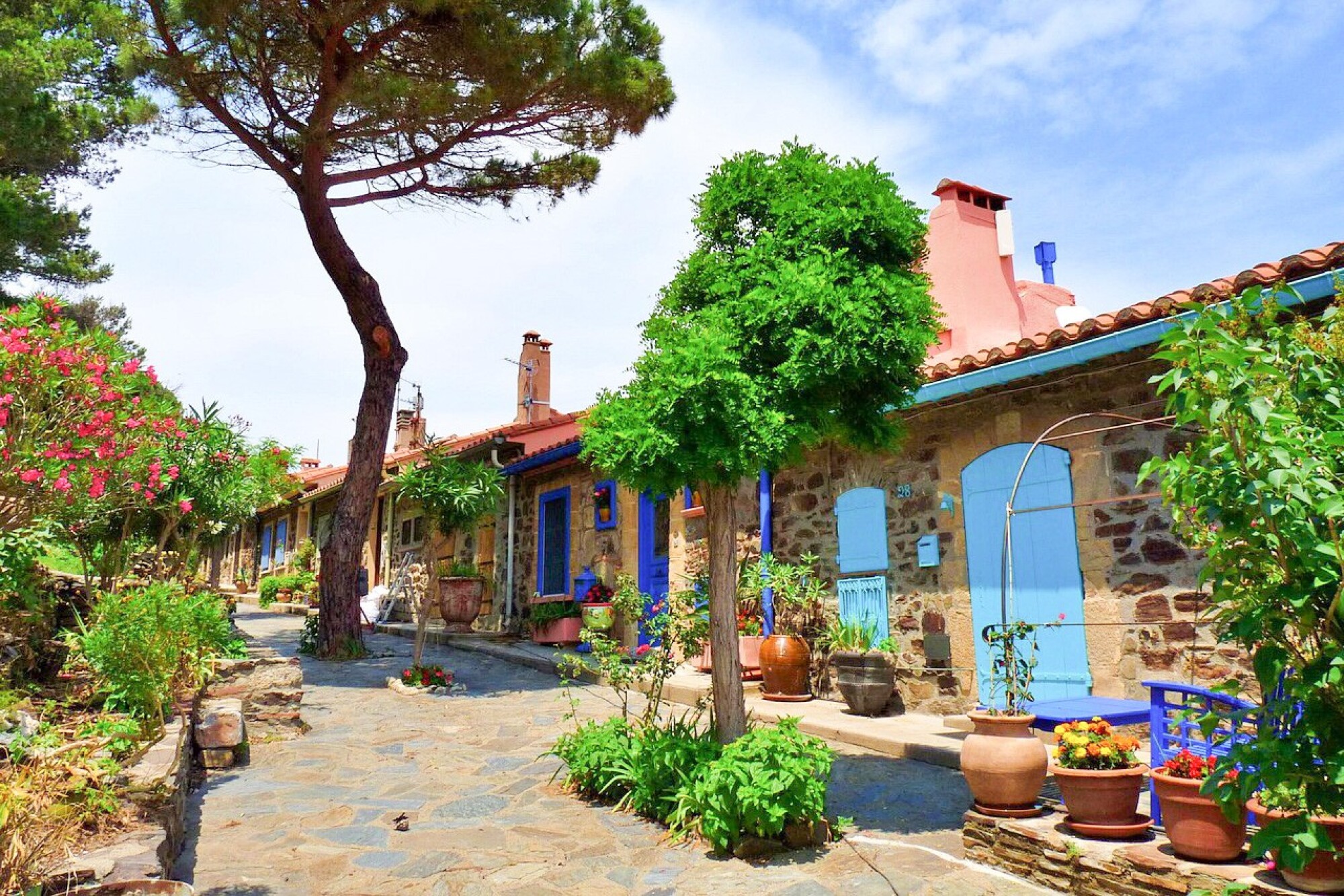 LE LANGUEDOC