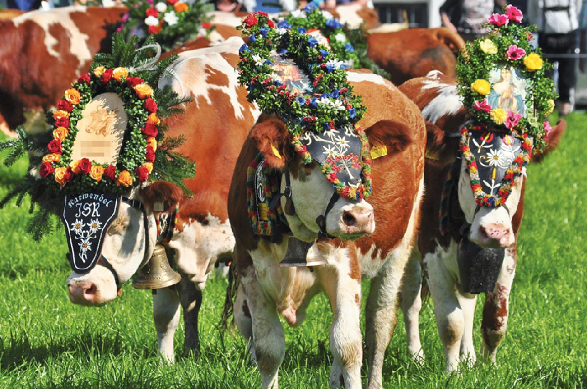 LE TYROL EN FETE