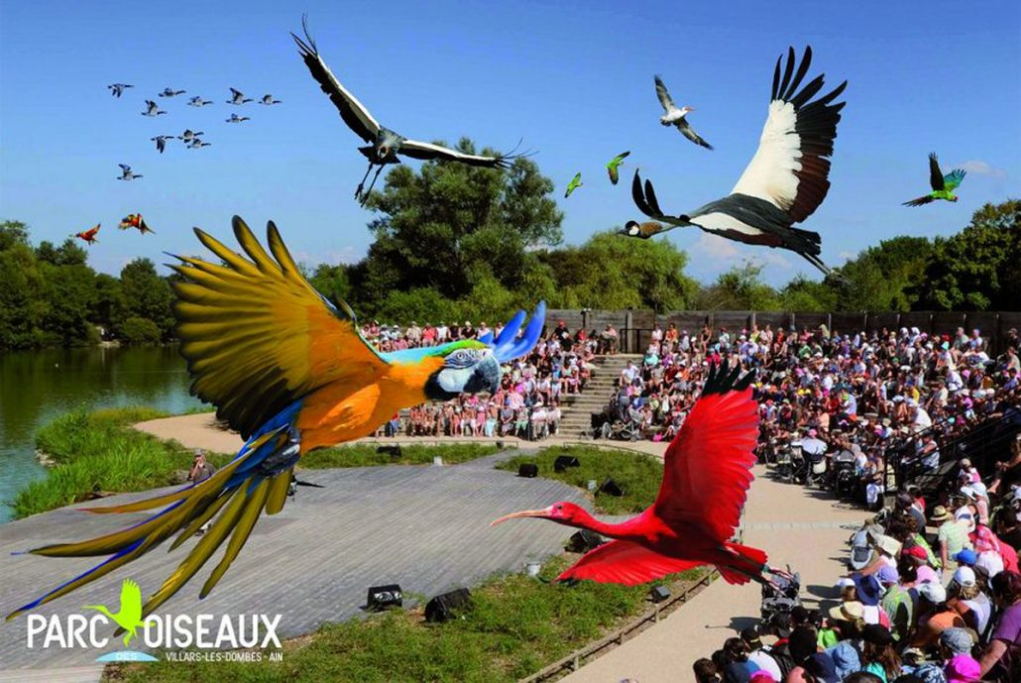 LE PARC DES OISEAUX A VILLARS-LES-DOMBES