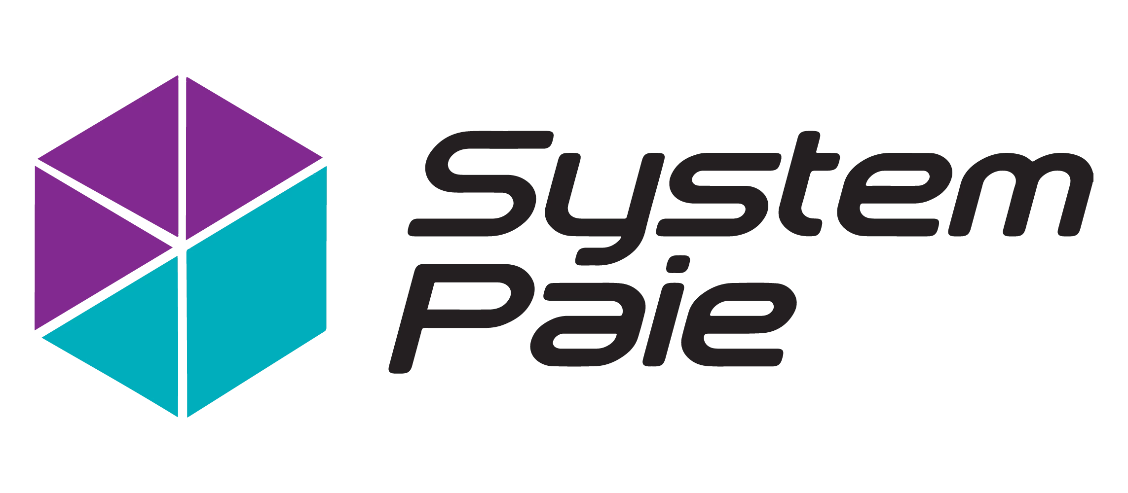 SYSTEM PAIE